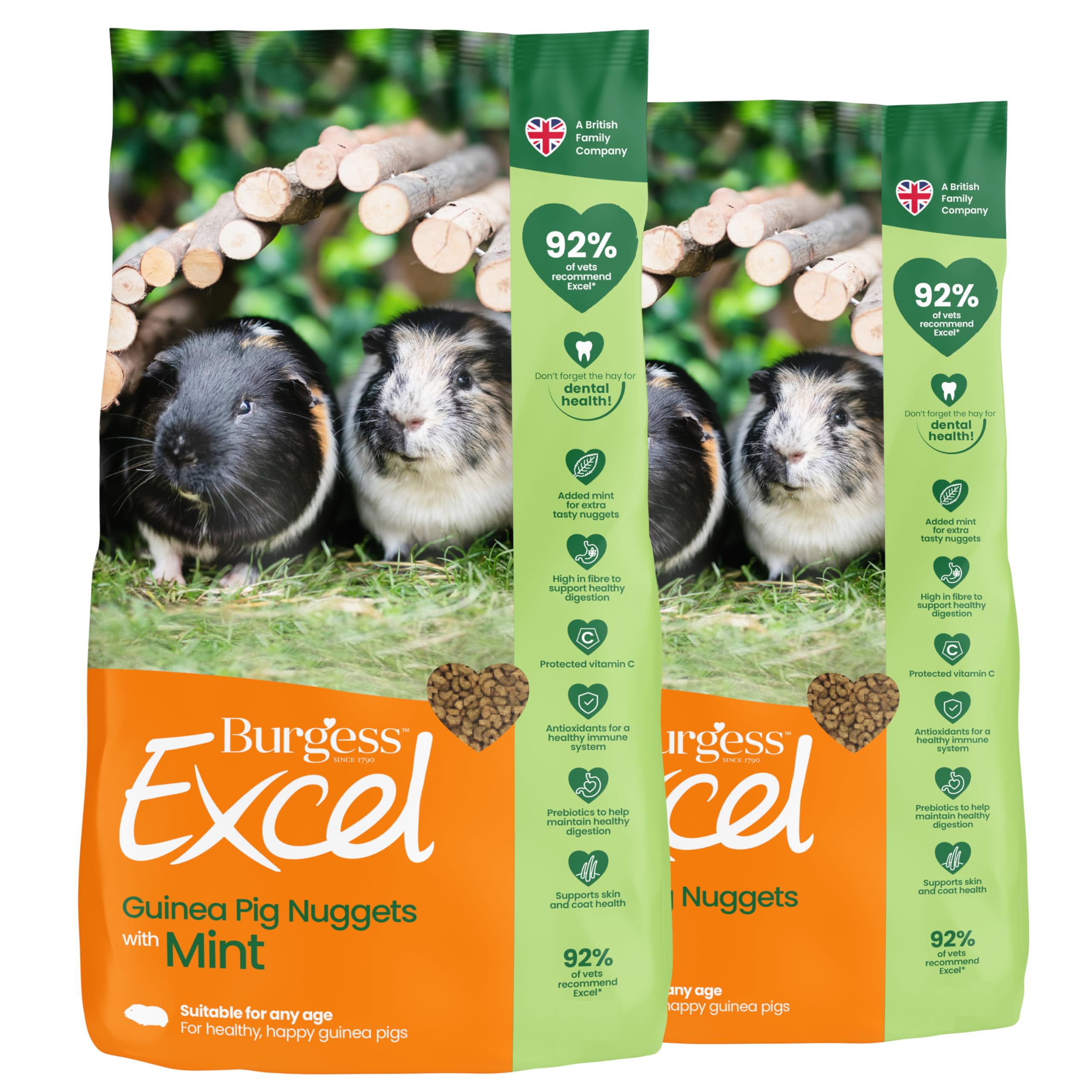 Burgess Excel Guinea Pig Food with Mint, 6kg – Guinea Pig Nuggets for Adult Guinea Pigs – High Fibre, Mint Guinea Pig Pellets (Pack of 2)