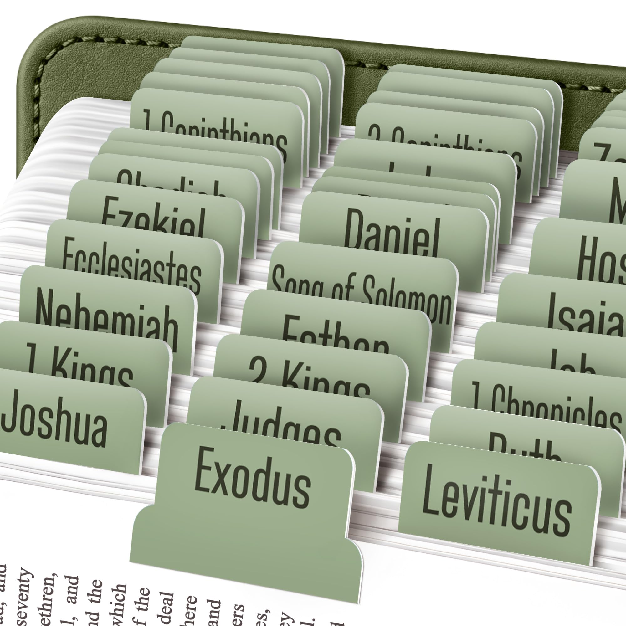 EssexWares - Green Sage Bible Tabs for Old and New Testament, 80 Large Print Tabs for Bible Study, Water-Resistant and Durable Index Tabs for Women and Men - 1.7" Wide