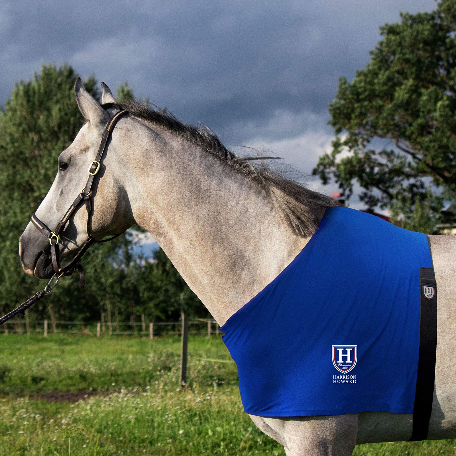 Harrison Howard Stretch Vest Anti Rub Bib Withers Shoulder Guard Horse Chest Saver Protector Midnight Blue