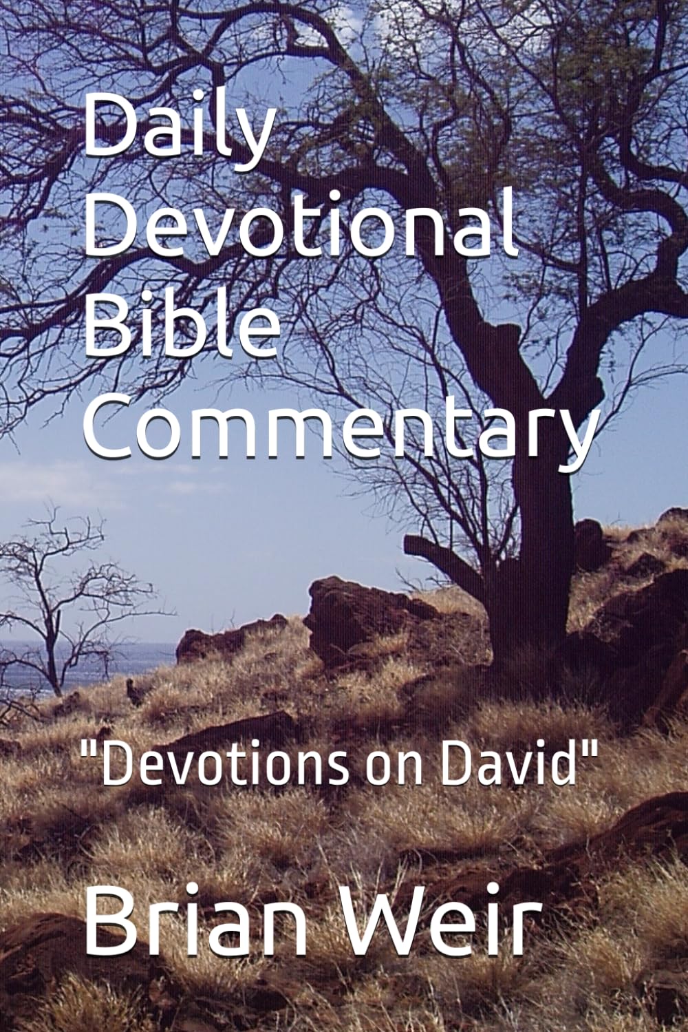 Daily Devotional Bible Commentary: "Devotions on David"