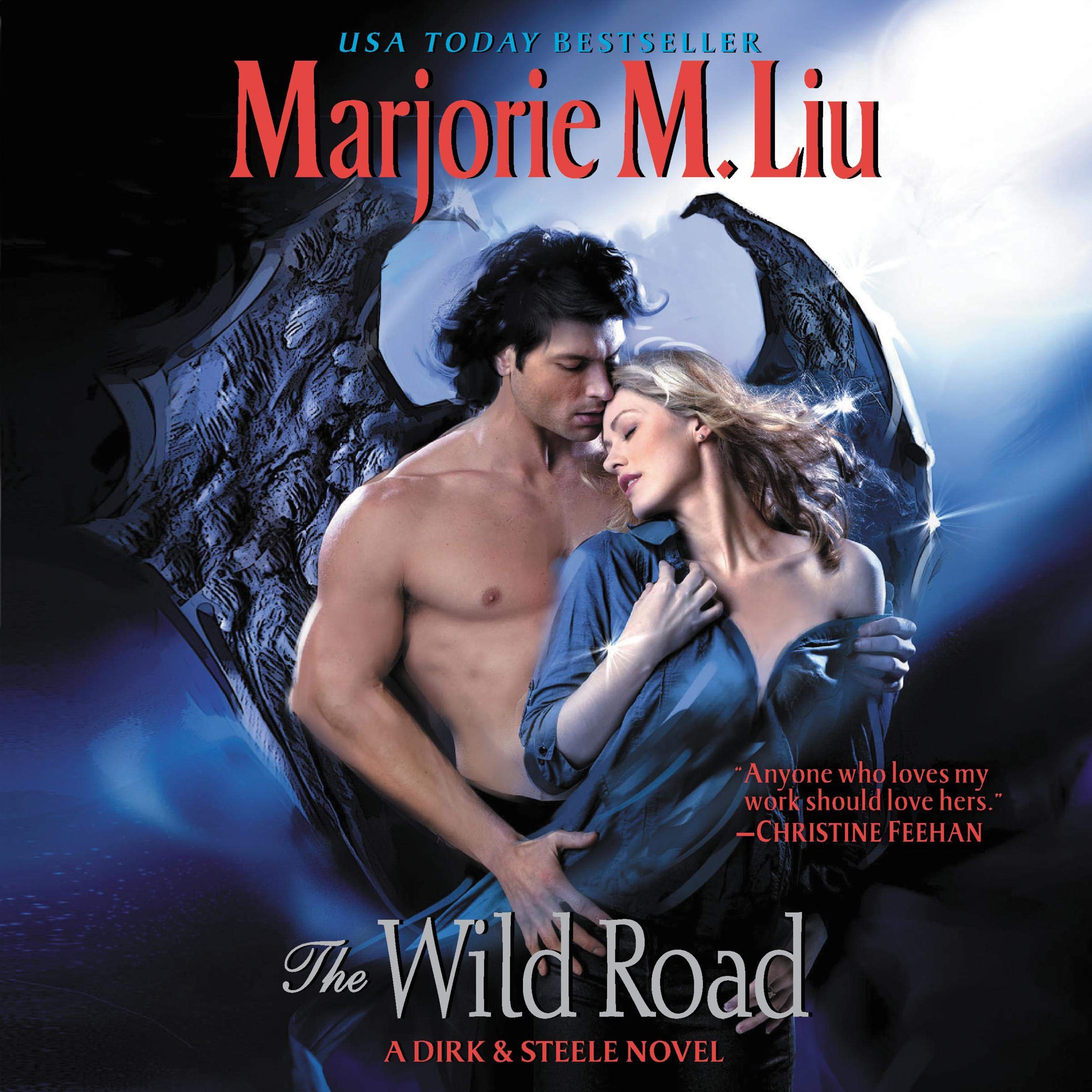 Cover art for The Wild Road