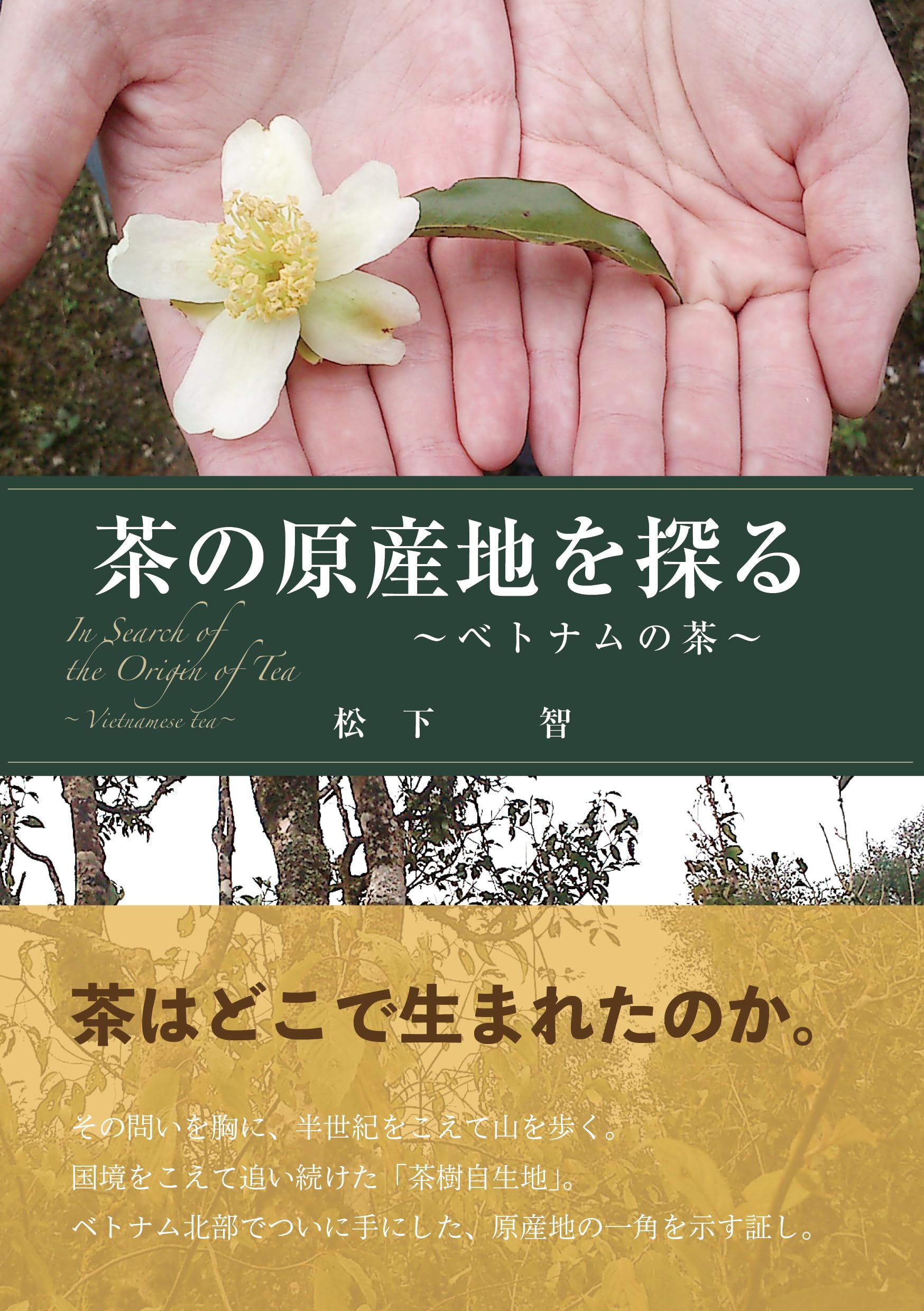 茶の原産地を探る 〜ベトナムの茶〜 | 松下 智, 森 一樹, ダンマイニー