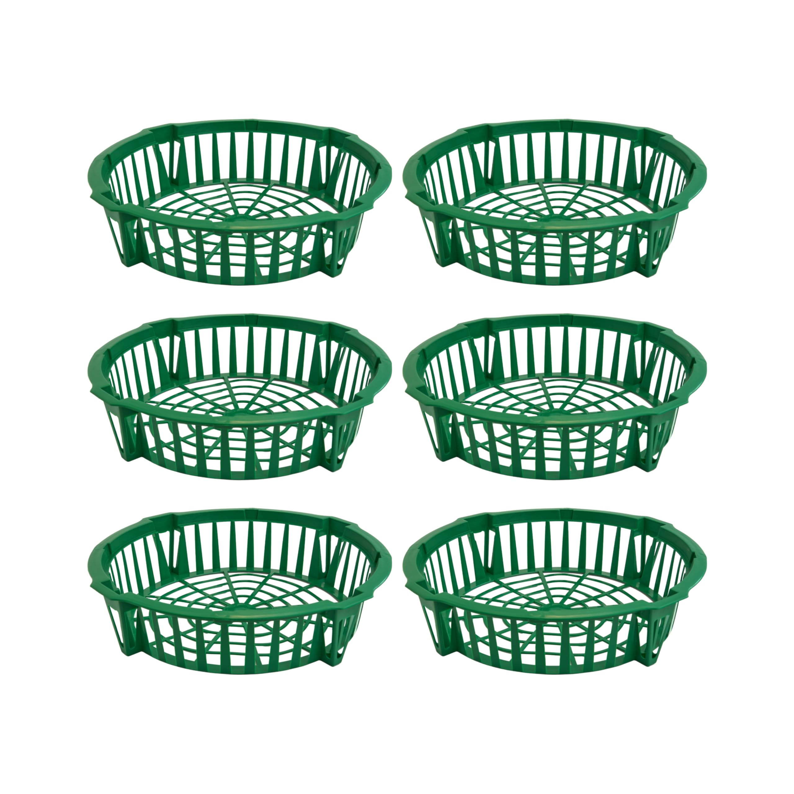 Lot de 6 plateaux de plantation pour oignons - Plateaux en plastique pour bulbes à fleurs - Plateaux de semis réutilisables pour le jardinage, 29 cm