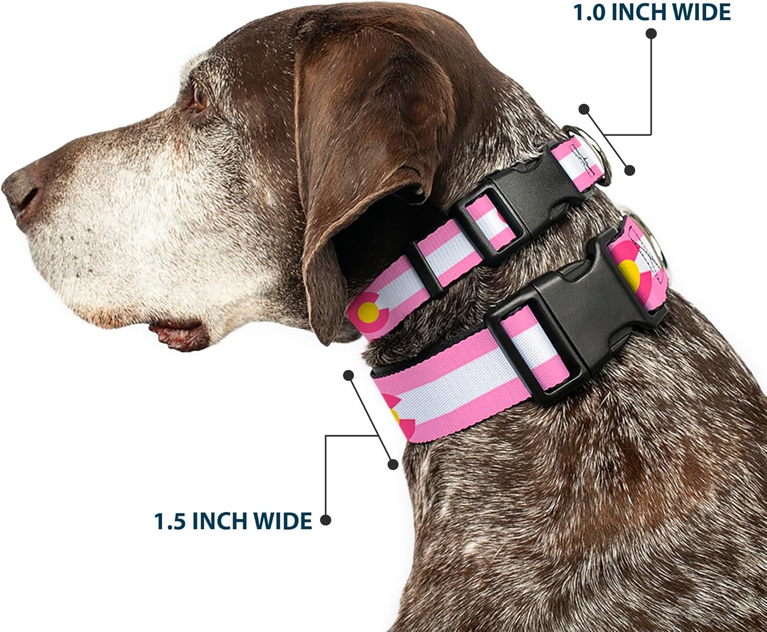 Buckle-Down PC-W35526-WM Plastic Clip Collar, 1.5" Wide-Fits 16-23" Neck-Medium