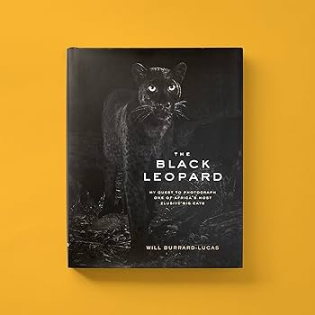 FAUVES d'Afrique Alain Pons アフリカ野生猫科　写真集 Amazon.com: The Black Leopard: My Quest to Photograph One of