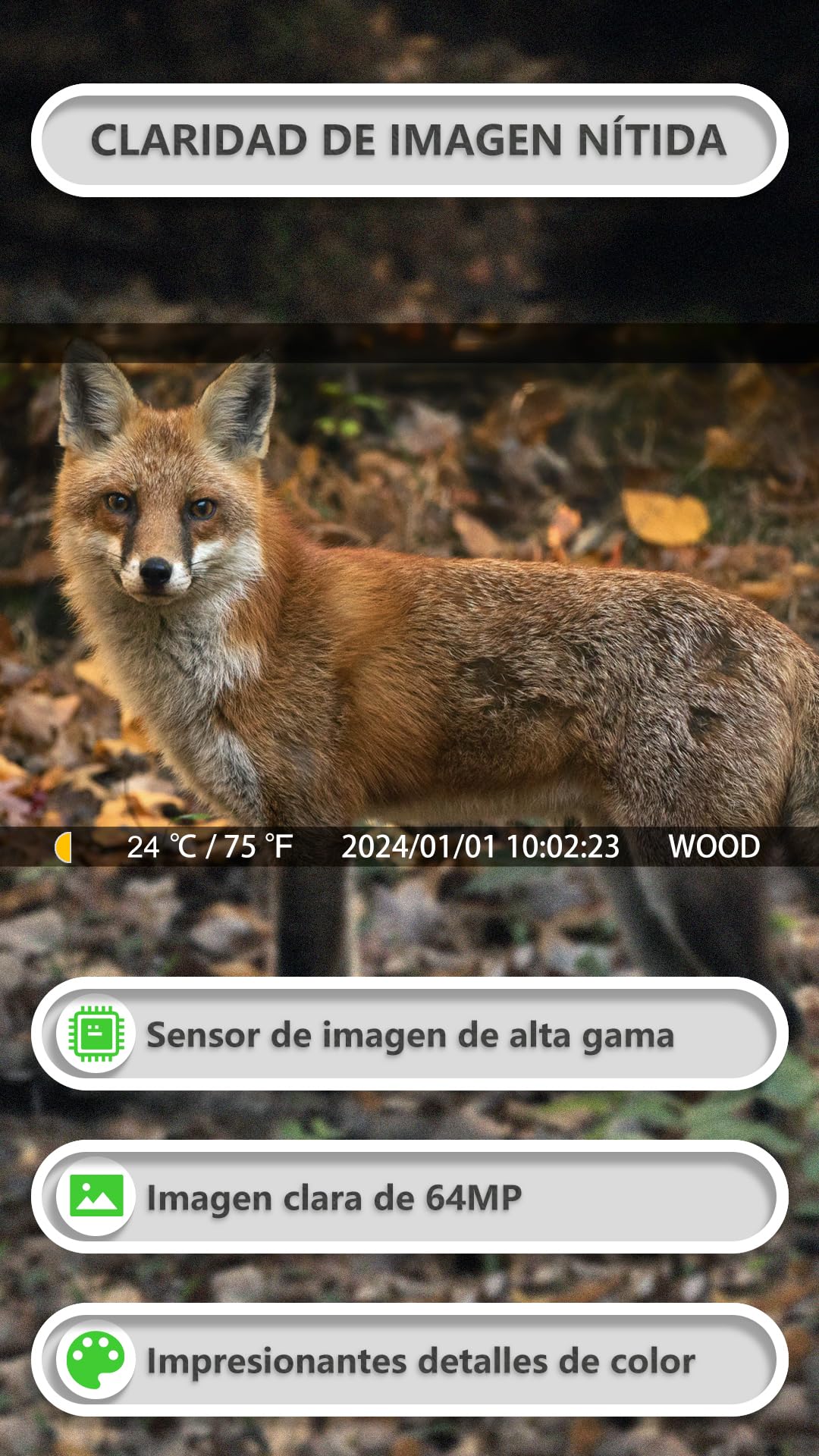 GardePro E8P MAX Cámara de Caza, WiFi, Batería Recargable 8000mAh, Tarjeta SD Incorporada, 64MP 1296P, Camara Fototrampeo con Alcance de Visión Nocturna WiFi con 0,1s Tiempo de Activación