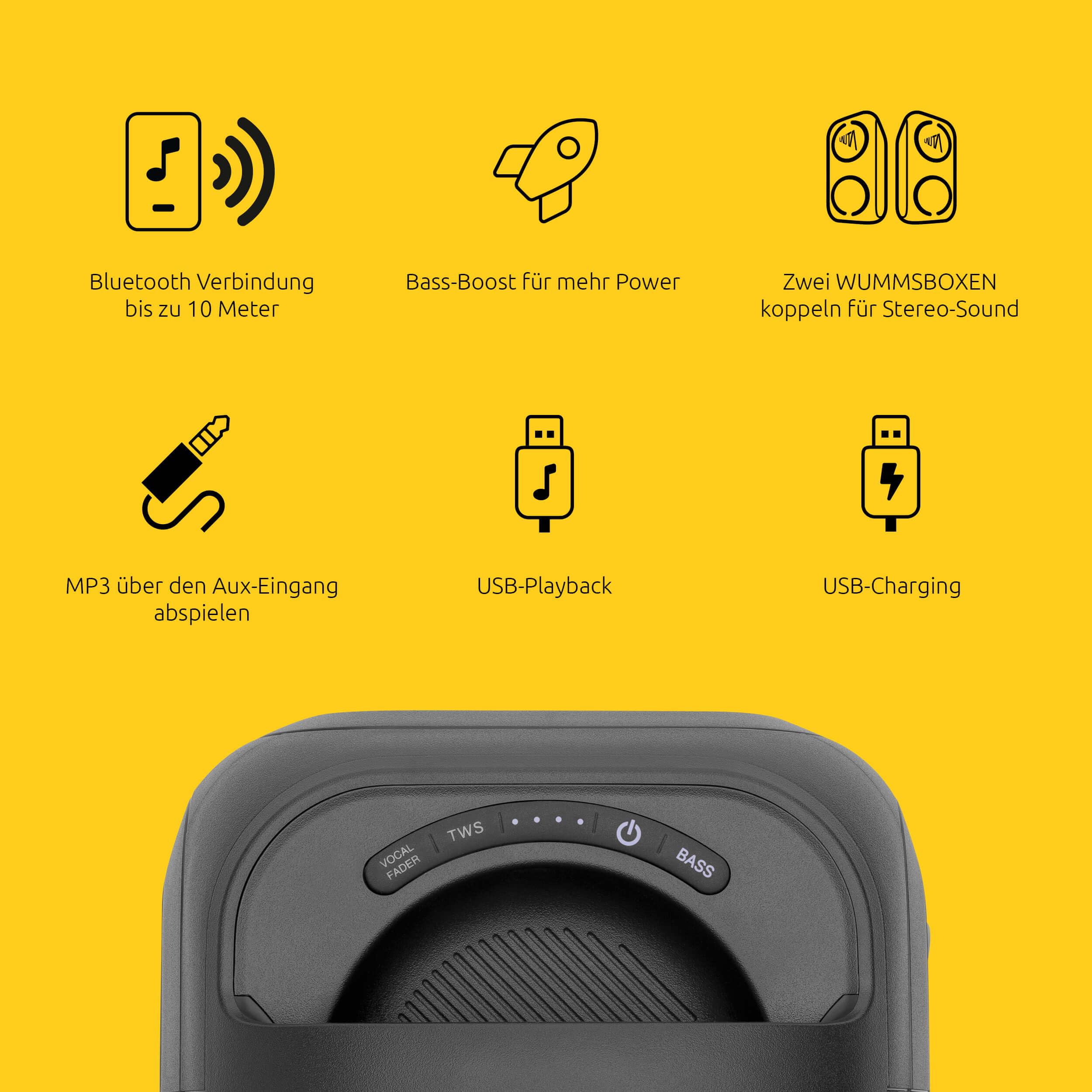 LAUTA WUMMSBOX - 160W Peak Bluetooth Partybox, Musikbox mit 103dB Sound | Bass Boost, True Wireless Stereo, 12 Stunden Akkulaufzeit, LED, IPX4, USB, Mikrofon-Anschluss, 80W RMS Leistung