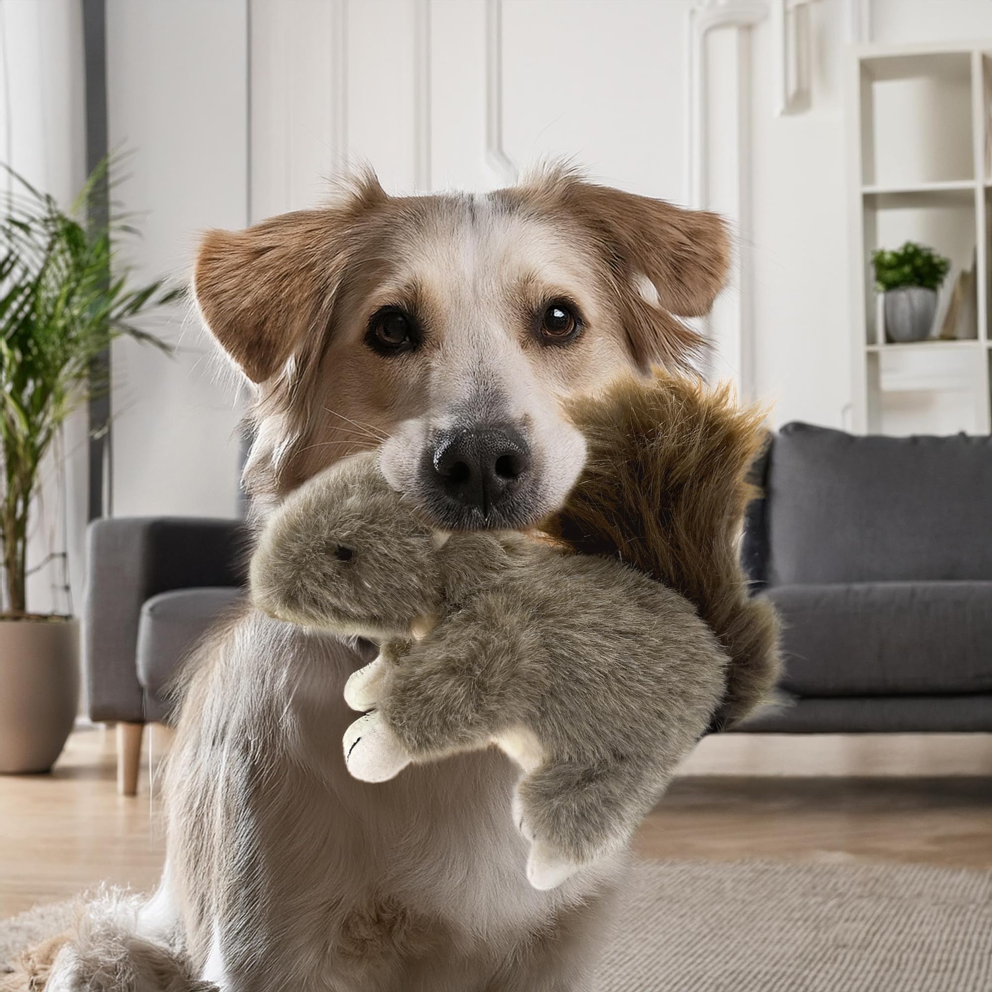 Eichhörnchen-Hundespielzeug, quietschendes Eichhörnchen, Plüsch-Eichhörnchen, Hundespielzeug, gefülltes quietschendes Kauspielzeug, realistisches Tier-Hundespielzeug, interaktives