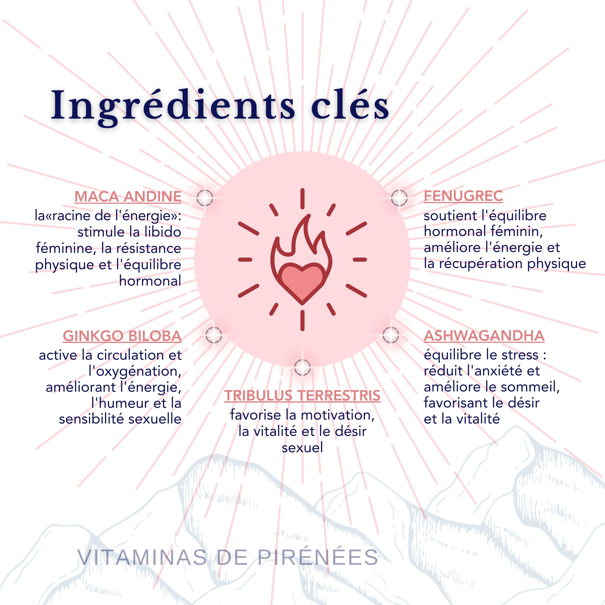 Maca Anadina, Tribulus, Fenogreco, Ashwagandha, Ginkgo Biloba - SmartAbsorb™ | pour l’énergie, l’équilibre hormonal et la fonction cérébrale | 28 sachets quotidiens