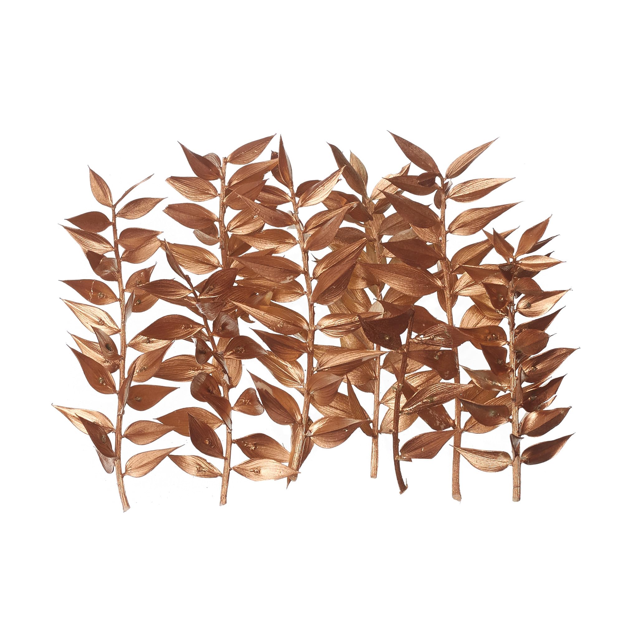 The Baked Studio - Original Dried Flower Ruscus Set For Cake & Cupcake Decorating & Others Crafts (Gold), 1 Box
