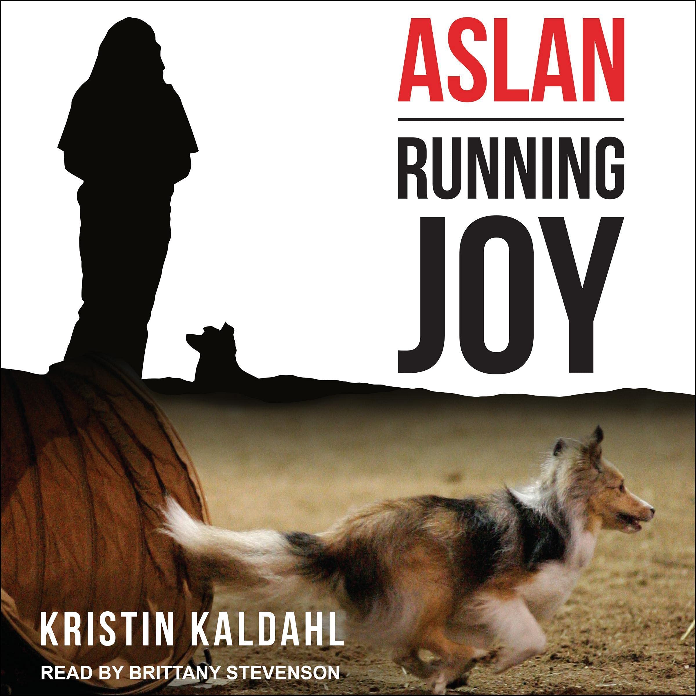 Cover art for Aslan