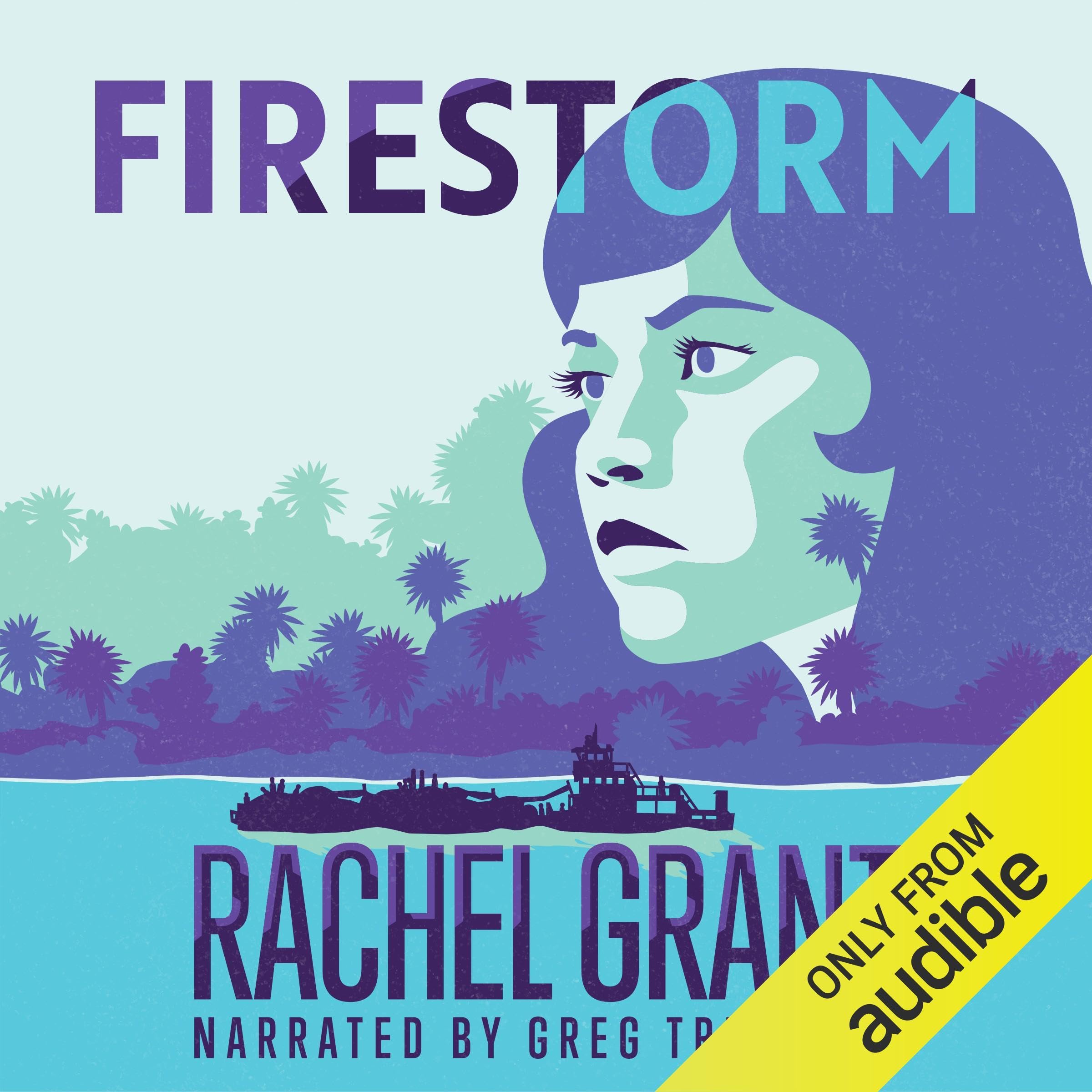 Cover art for Firestorm