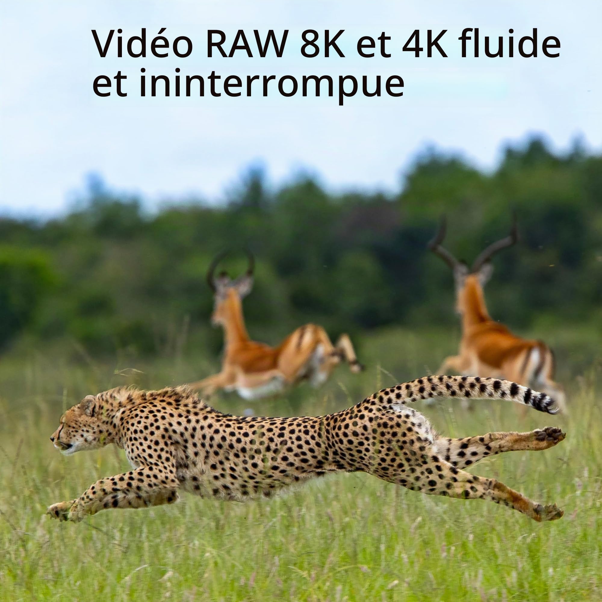 Integral 512GB CFexpress Memory Card Type B 2.0, 8K RAW & 4K 120 FPS 1800MB/s Read, 1200MB/s Write Speed, 900MB/s Sustained Write Designed for The Cinematographer and Professional Photographer