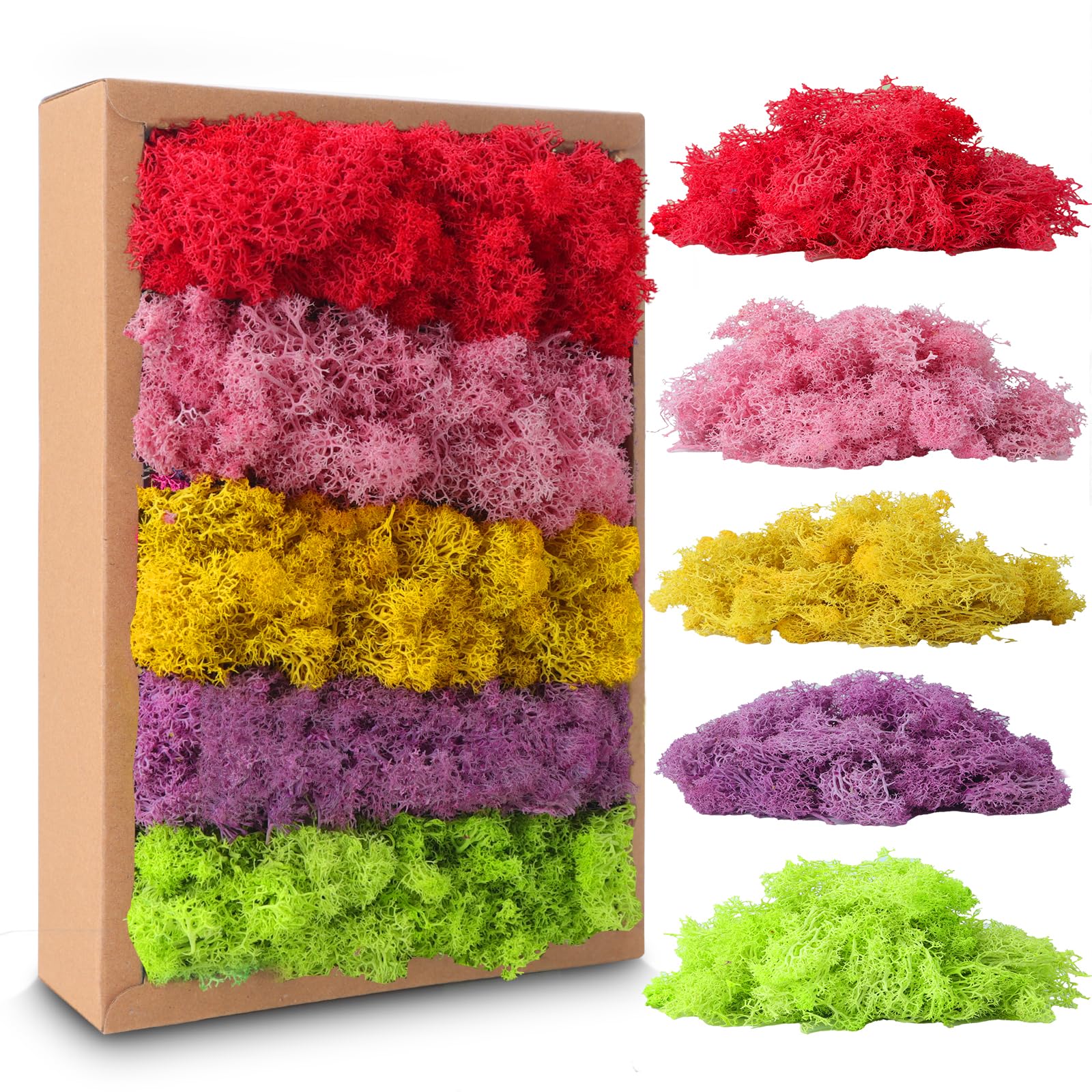 Muschio Stabilizzato,Decorazione di Muschio Naturale,Muschio Conservato per Decorazioni, Modellismo, Terrario, Parete,Pareti di Casa Festival per Feste Artigianato Natale (200g, Verde,Scatola