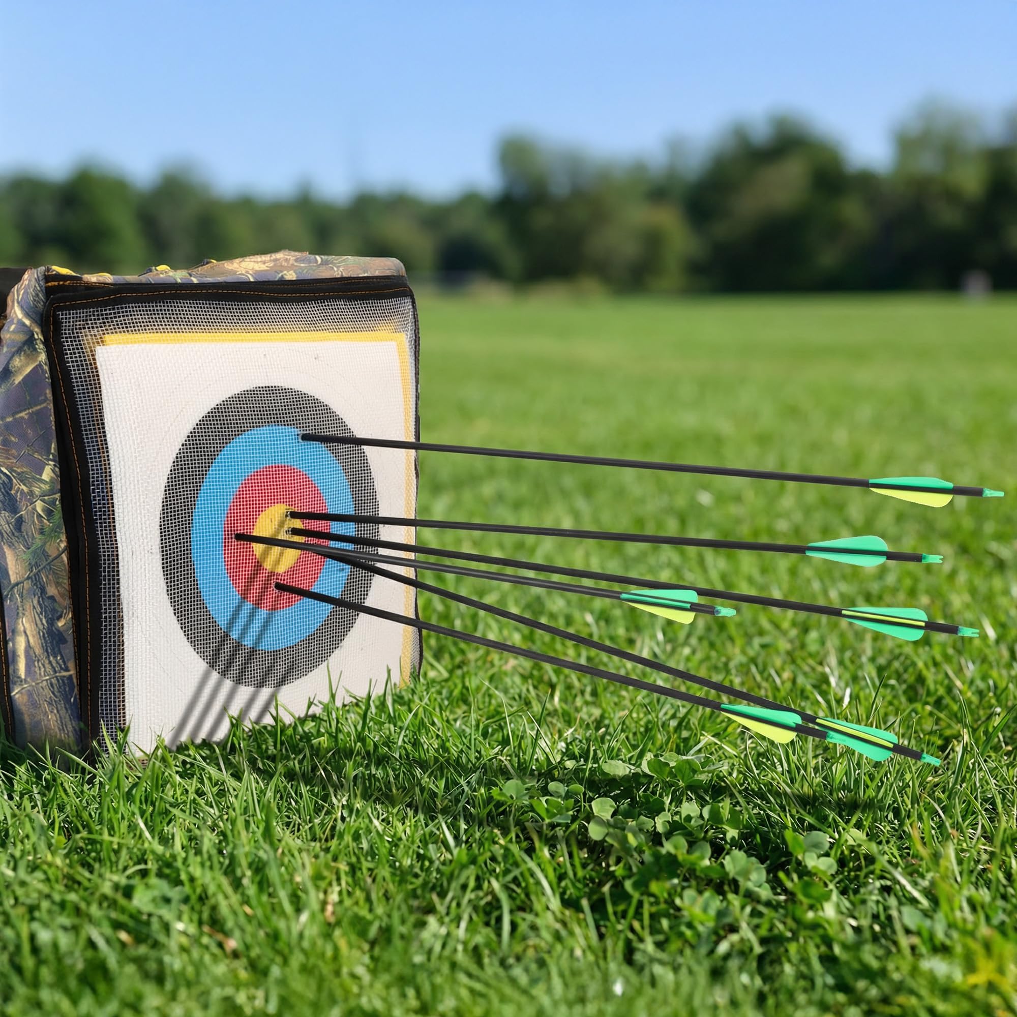 18 Stück Carbonpfeile 30 Zoll mit abnehmbaren Pfeilen für Jugend und Erwachsene, Bogenschießübungen, Bögen und Pfeile für Outdoor-Training