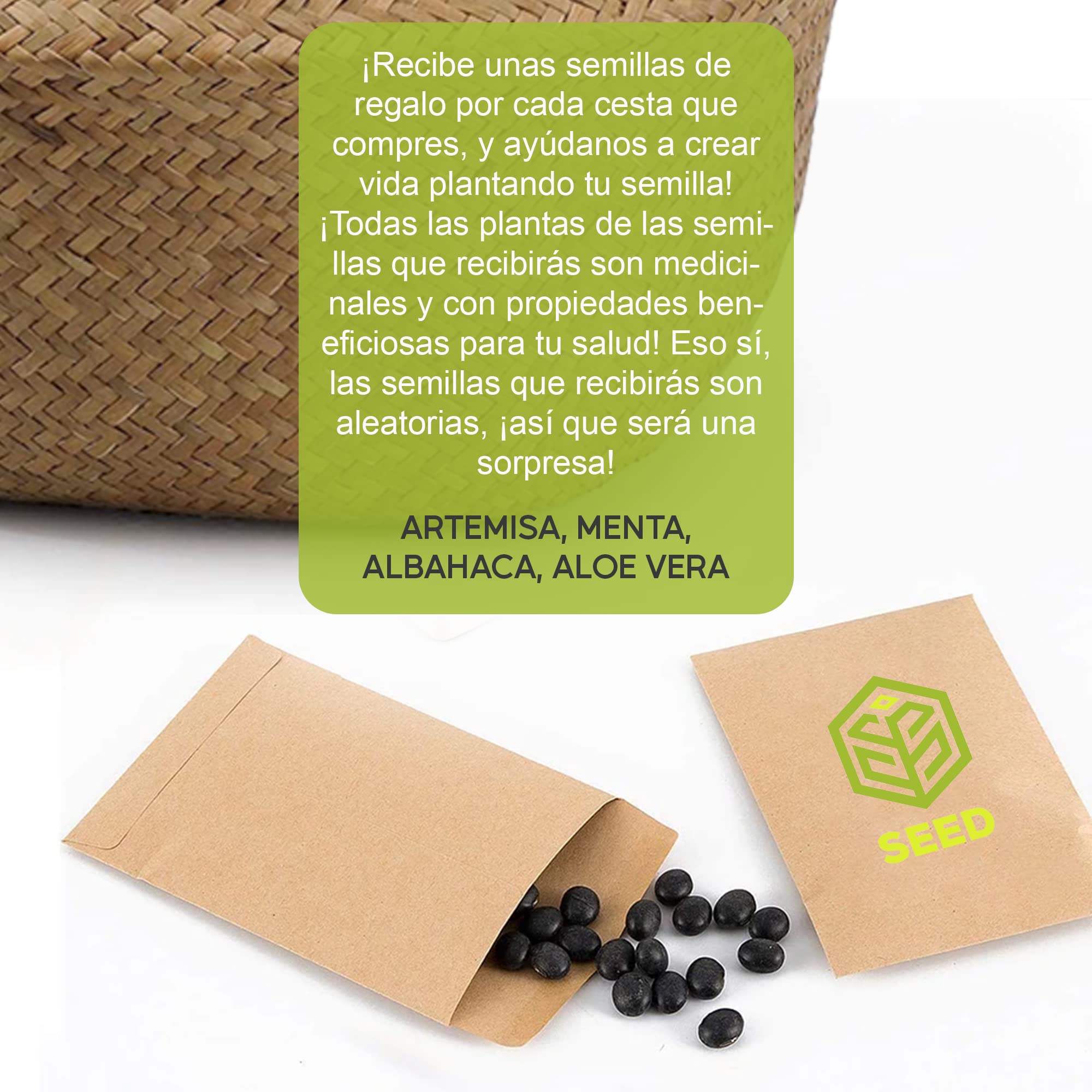SEED Cesta de Mimbre para Plantas – Tejida a Mano con Mimbre Natural – Aporta Orden y Calidez – Ideal como Cubremacetas Decorativo Interior y Almacenaje – Incluye Semillas de Regalo (Tamaño M)