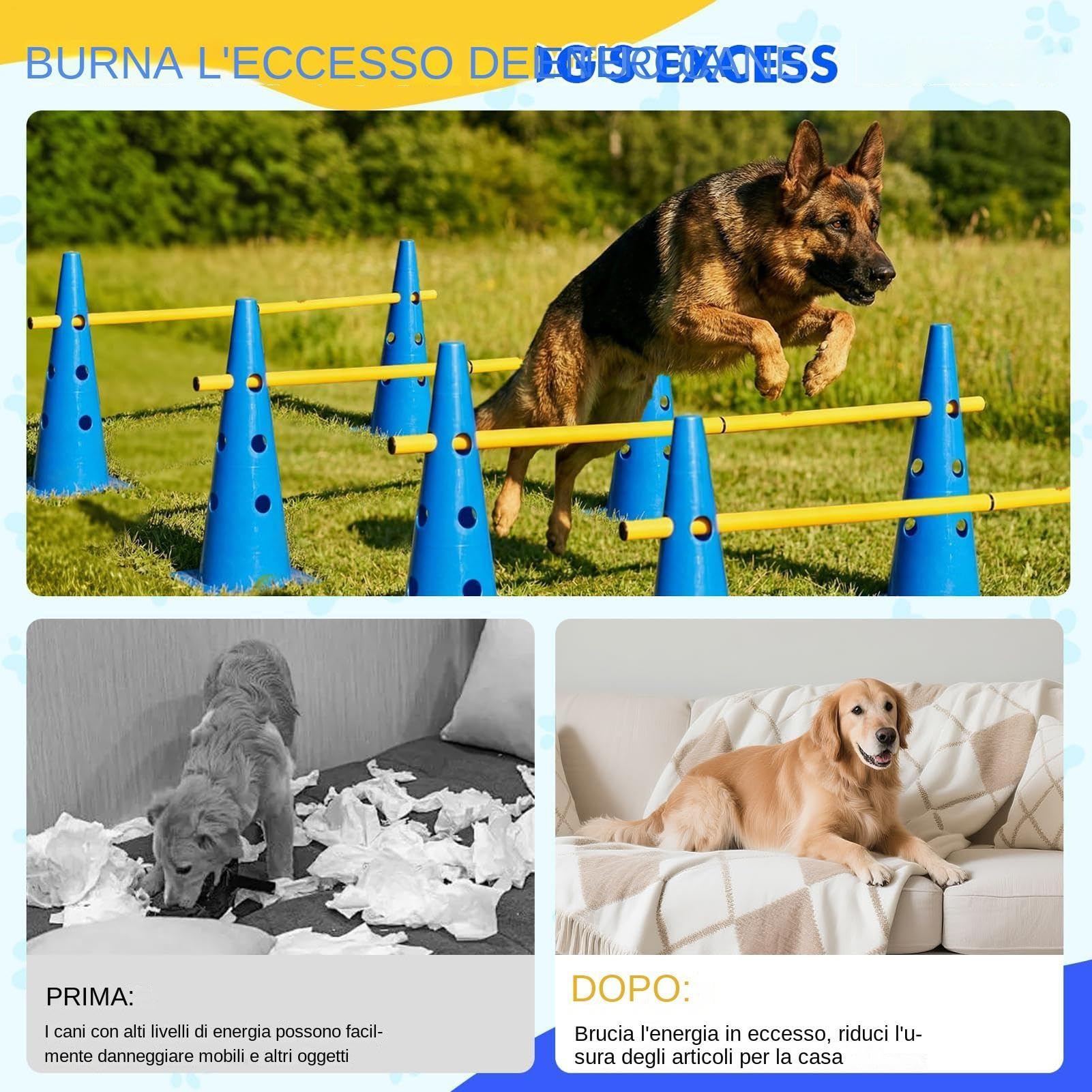 Generico Agility-Ausrüstung für Hunde | Höhenverstellbar Robust | Hindernisparcours-Hütchen für Hunde | für Kleine, Mittlere Große Welpen | für Drinnen Draußen | für Garten Park