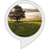 Sonido ambiental buenos días