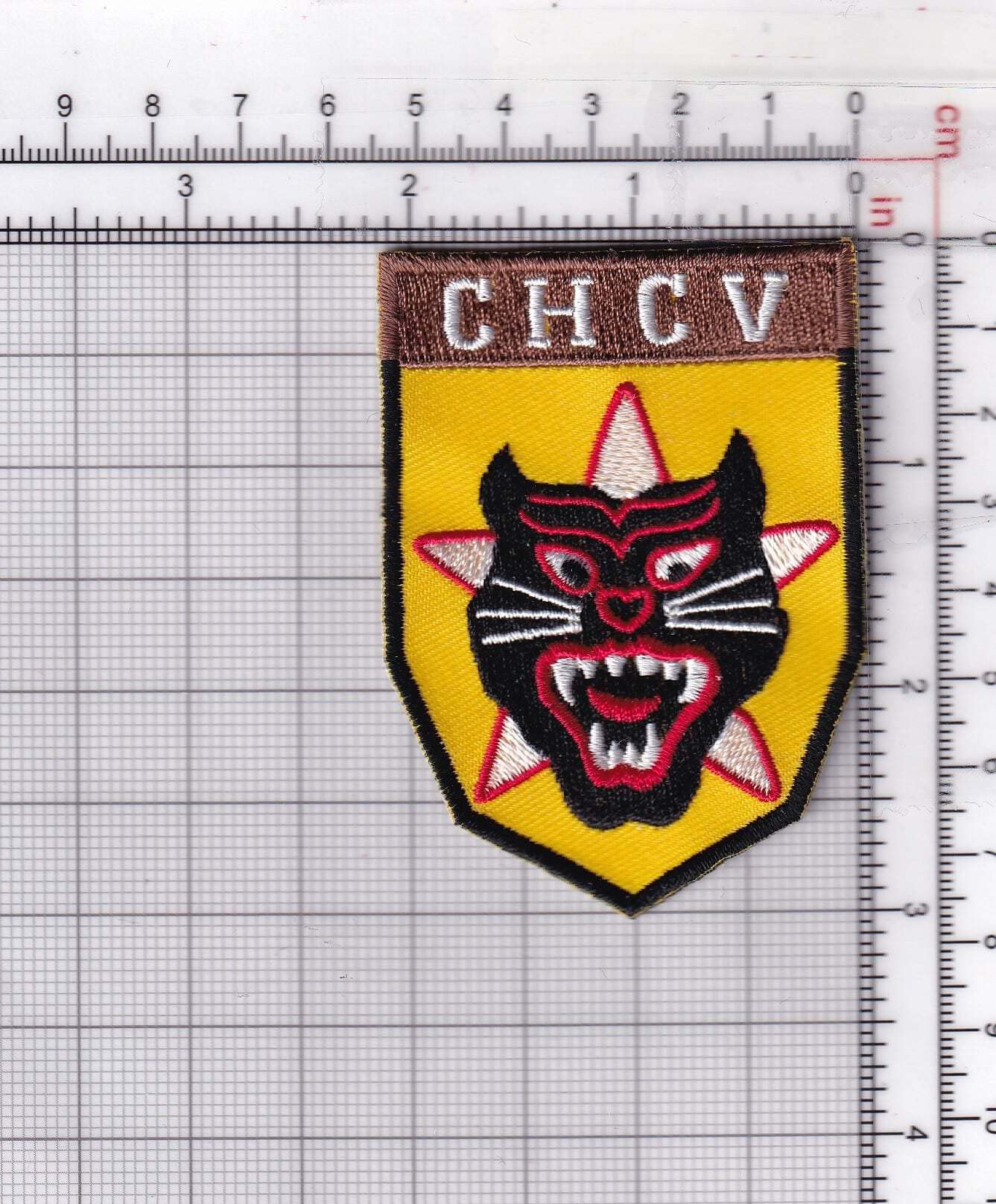 Amazon.com: ARVN South Vietnamese Army Ranger CHCV Patch – Sew On