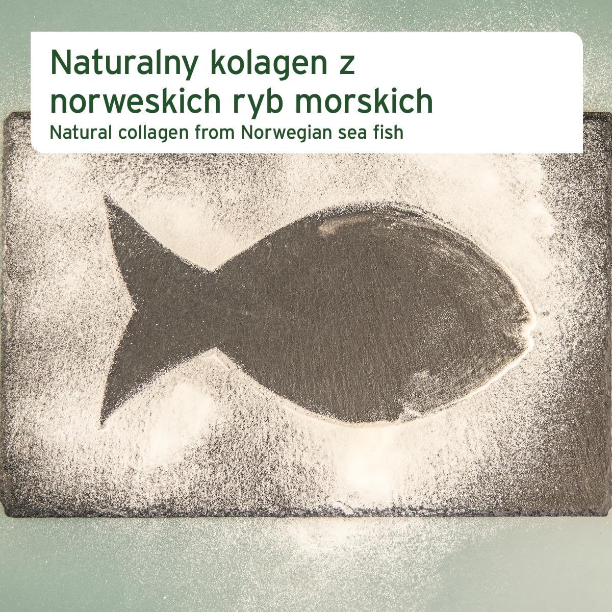 AniForte Marine Kolagen proszek dla psów CollaMove 450 g - Kolagen rybny wspomaga stawy, ścięgna i więzadła – naturalny produkt dla sprawności stawów i zwinności