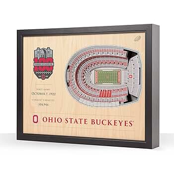 Amazon.com : YouTheFan NCAA Ohio State Buckeyes 100th 25