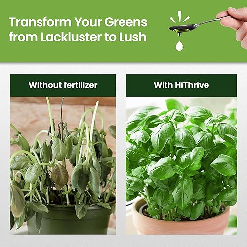 Miniatura 3 de Fertilizante líquido de 16 onzas para huerto  Hace 24 galones de fertilizante de jardín para verduras al aire libre  Hierbas y verduras de hoja