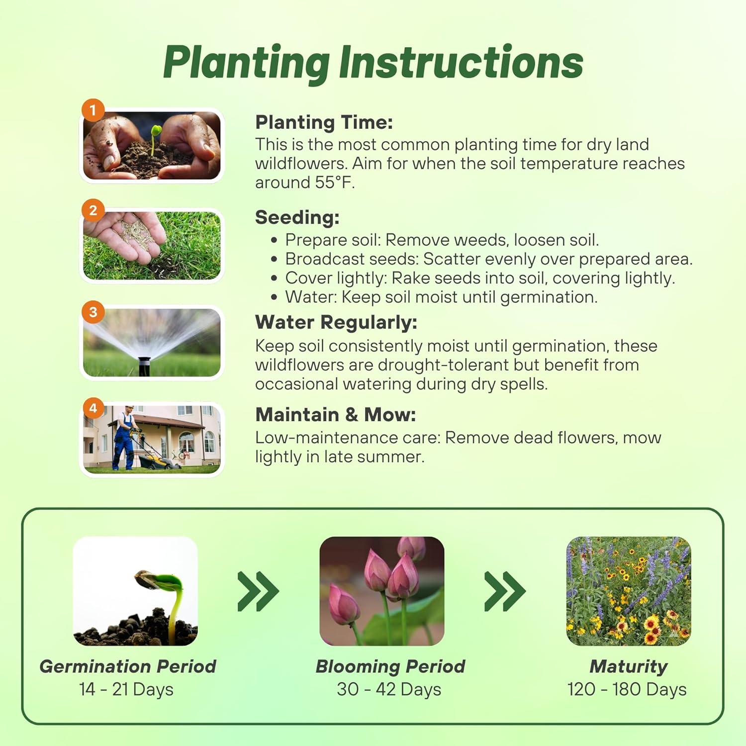 Outsidepride Dryland Wildflower Seed Mix - 5 lbs. Colorful Blend of Drought Tolerant, Annual and Perennial Wildflower Seeds for Attracting Pollinators in Arid States & Xeriscapes