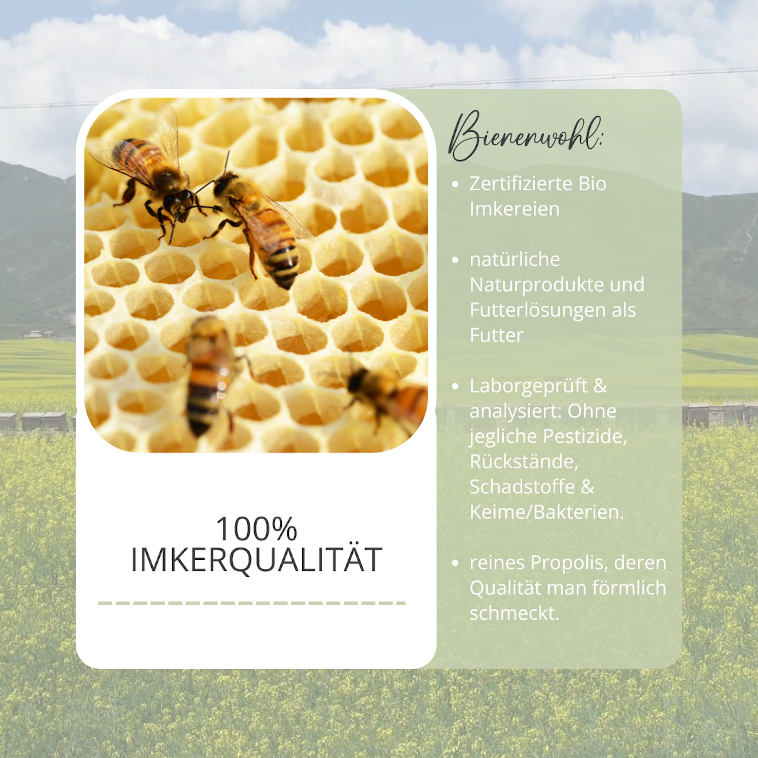 bedrop Concentrated Anti Aging Serum mit Bienengift, Gelée Royal, Hyaluron & Acetylglucosamin hochdosiert
