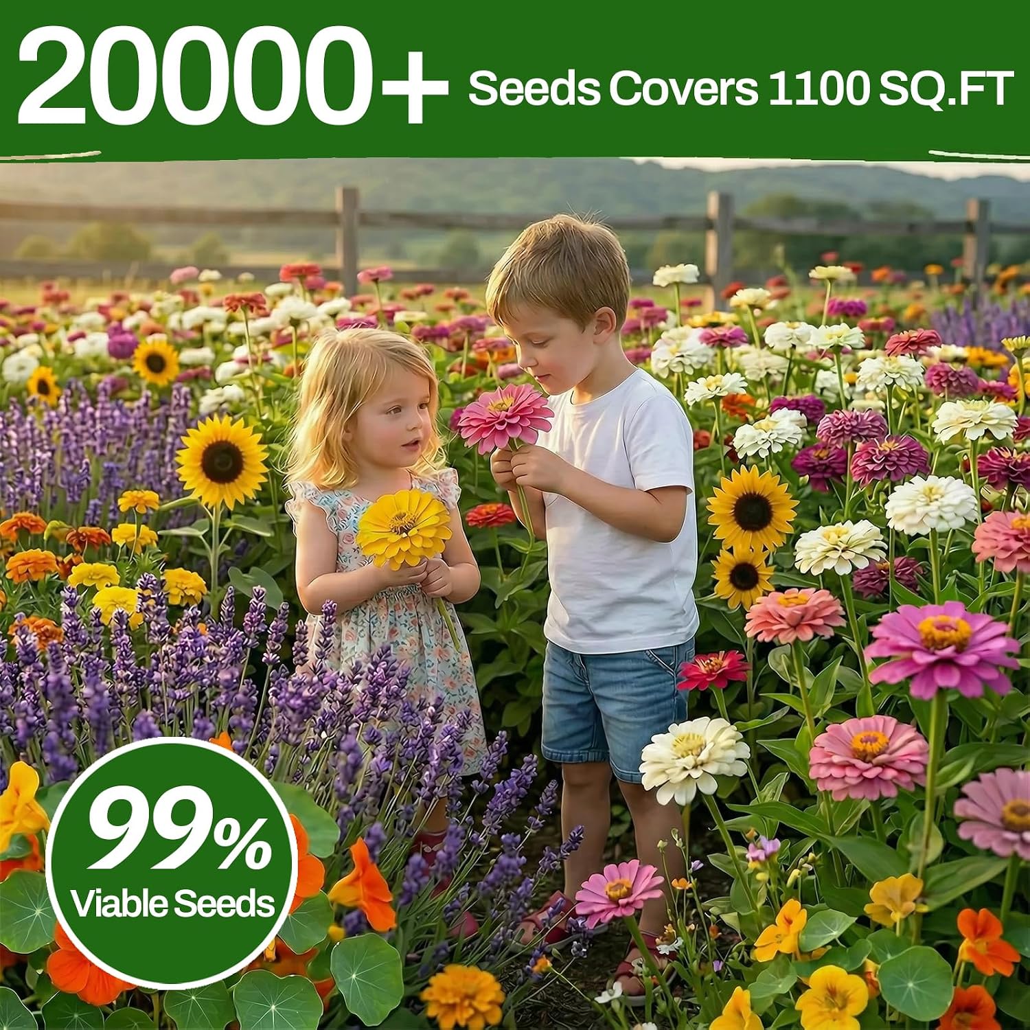 10 Varieties Flower Seeds in Individual Packs, 66,600+ Non-GMO Seeds Indoor Outdoor, Includes Zinnia Lavender Sunflower Marigold Cosmos Nasturtium Snapdragon Borage Yarrow Calendula, Wildflower Seeds