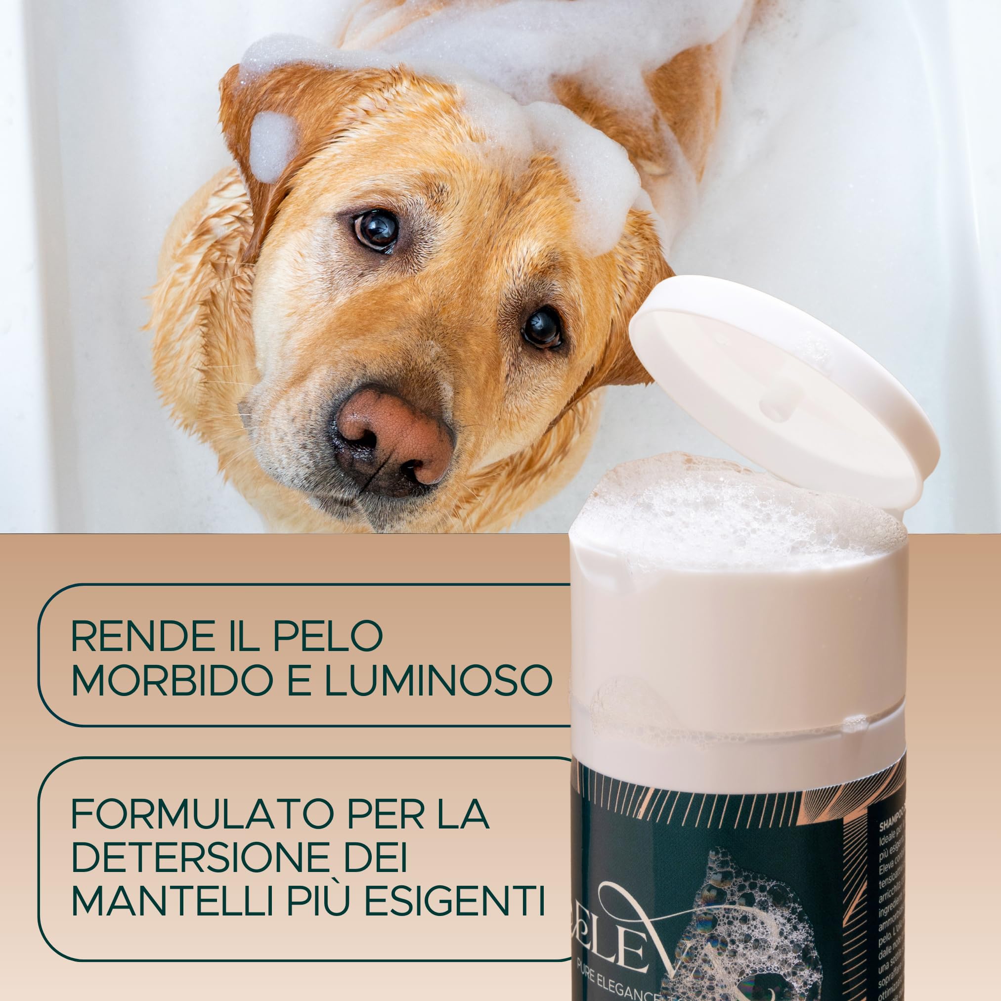 ELEVA PET - Kit Conosciamoci - Shampoo Delicato, Maschera Nutriente e Scioglinodi per Cani - Beauty Routine Completa - Ingredienti Vegetali - PH Ottimizzato - con Olio di Lavanda - Made in Italy