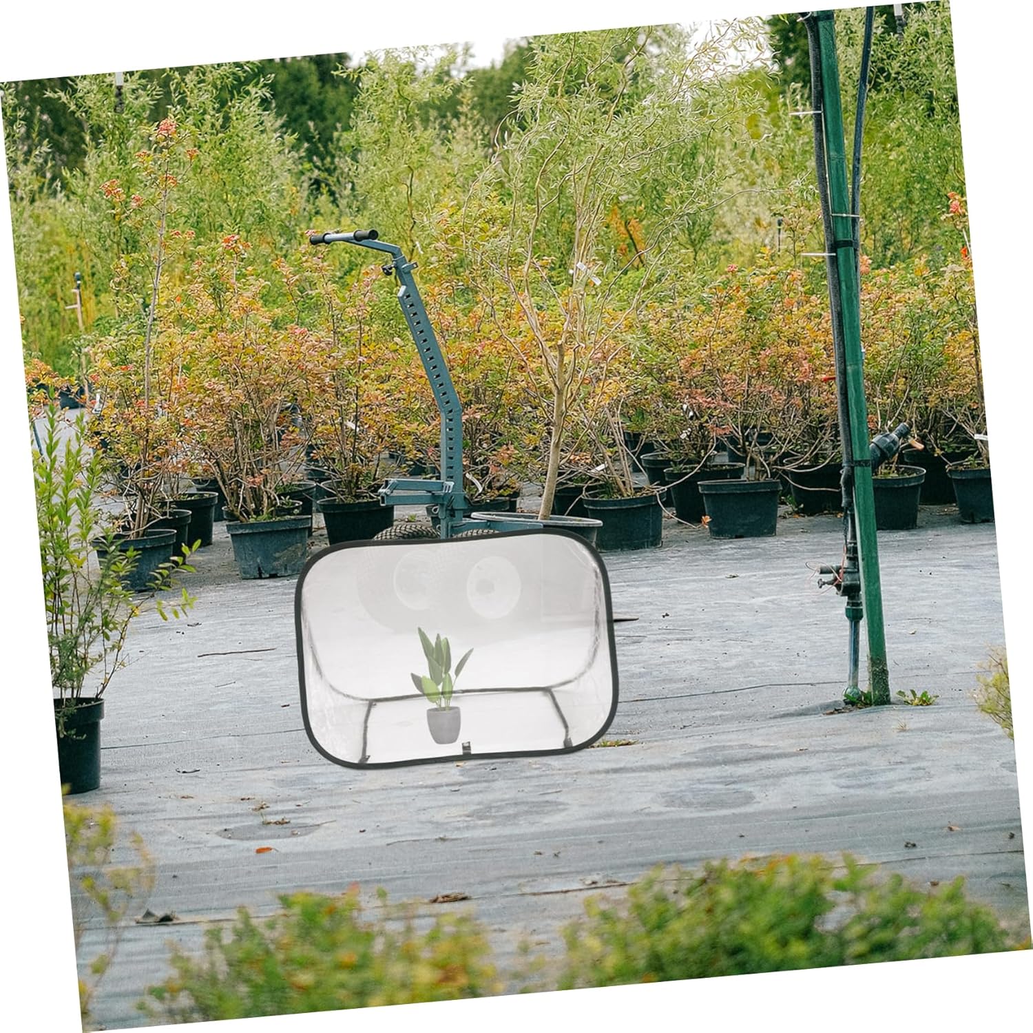 Toyvian 1pc Foldable Mini Garden Greenhouse Weatherproof Canopy Easy to Carry Plant House