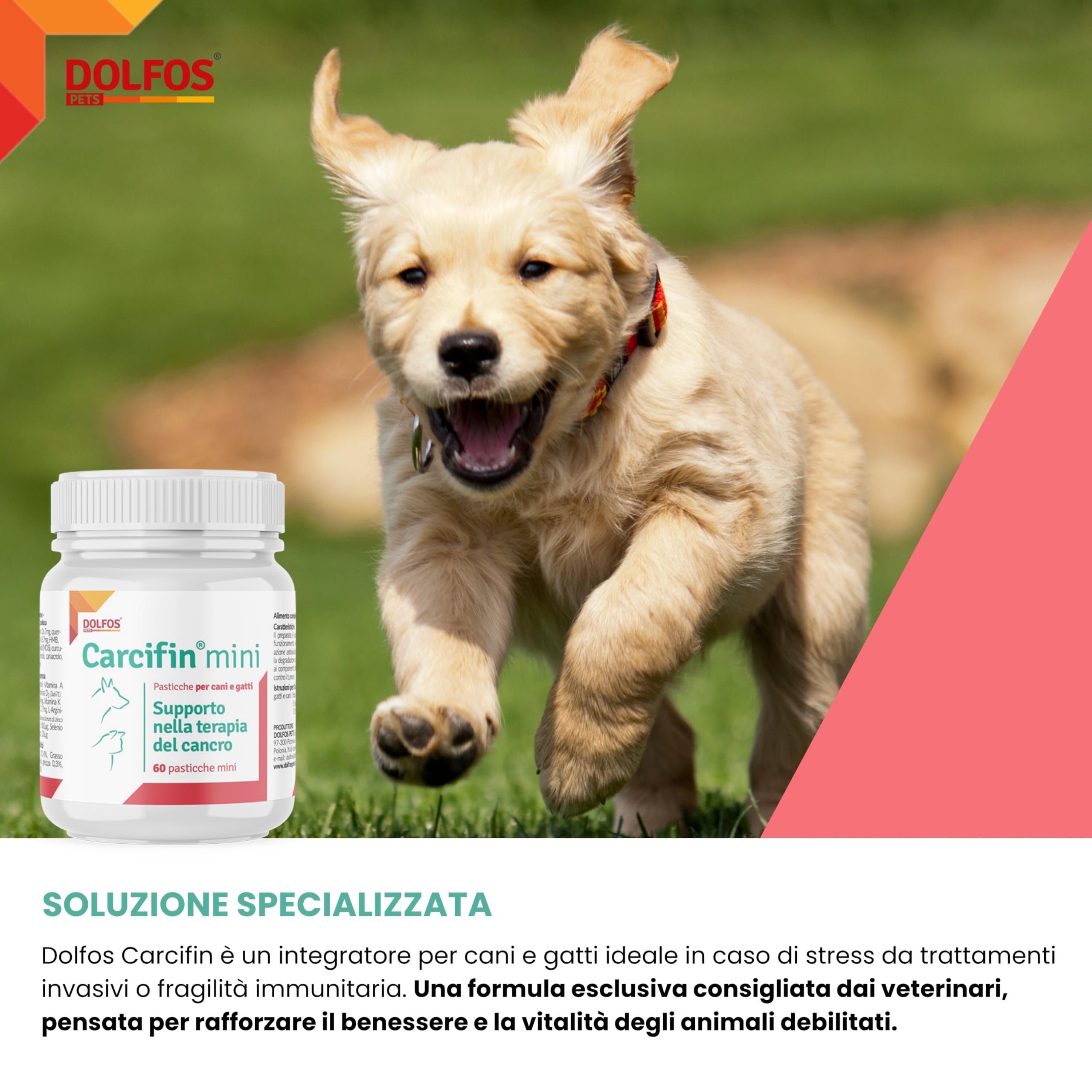 Dolfos Carcifin 60 Mini Compresse, Integratori per Cani Supporto Oncologico con Curcumina e Quercetina, Integratori per Cani Terapia Antitumorale e Sistema Immunitario