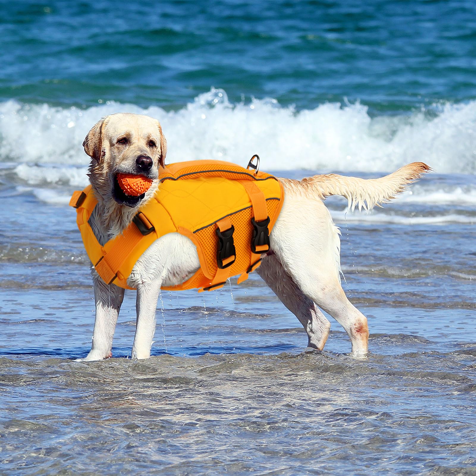 KONVINIT Schwimmweste Hund,Hundeschwimmweste,Schwimmwesten für Hunde -Dog Life Jacket für Kleine Mittel Große Hunde zum Bootfahren,Schwimmen,Surfen,Größenverstellbar mit Griff und Reflektoren