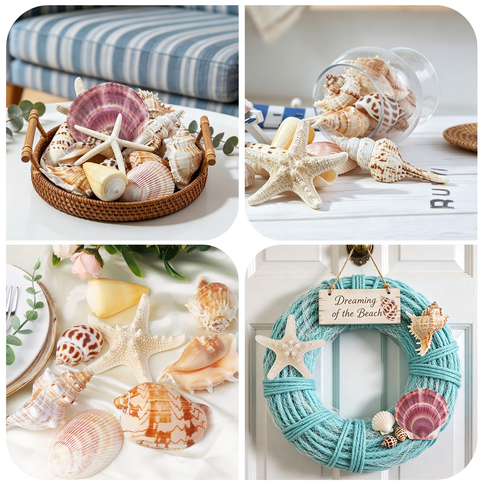 Conchiglie marine per decorare 14 conchiglie grandi a forma di stella marina per feste in spiaggia, riempitivi per vasi, decorazioni per la casa, artigianato fai da te, bagno, decorazioni per acquari