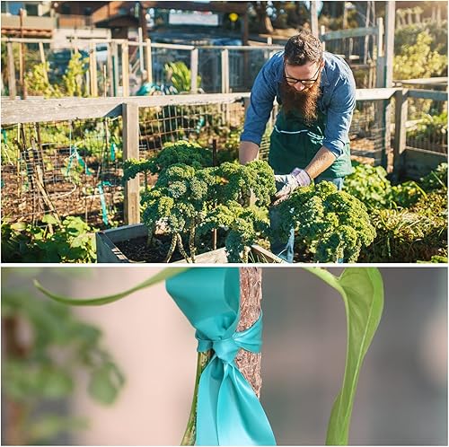 Miniatura 9 de TELENT OUTDOORS Cinta de amarre elástica, 1 pulgada de ancho y 200 pies reutilizables para plantas de jardín, cintas verdes para plantas, cinta