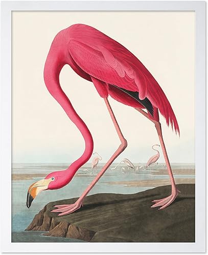 Miniatura 148 de Poster Master Póster vintage de flamenco americano, estampado retro de flamenco rosa, arte de pájaro, regalo para él, ella, amante de los animales,