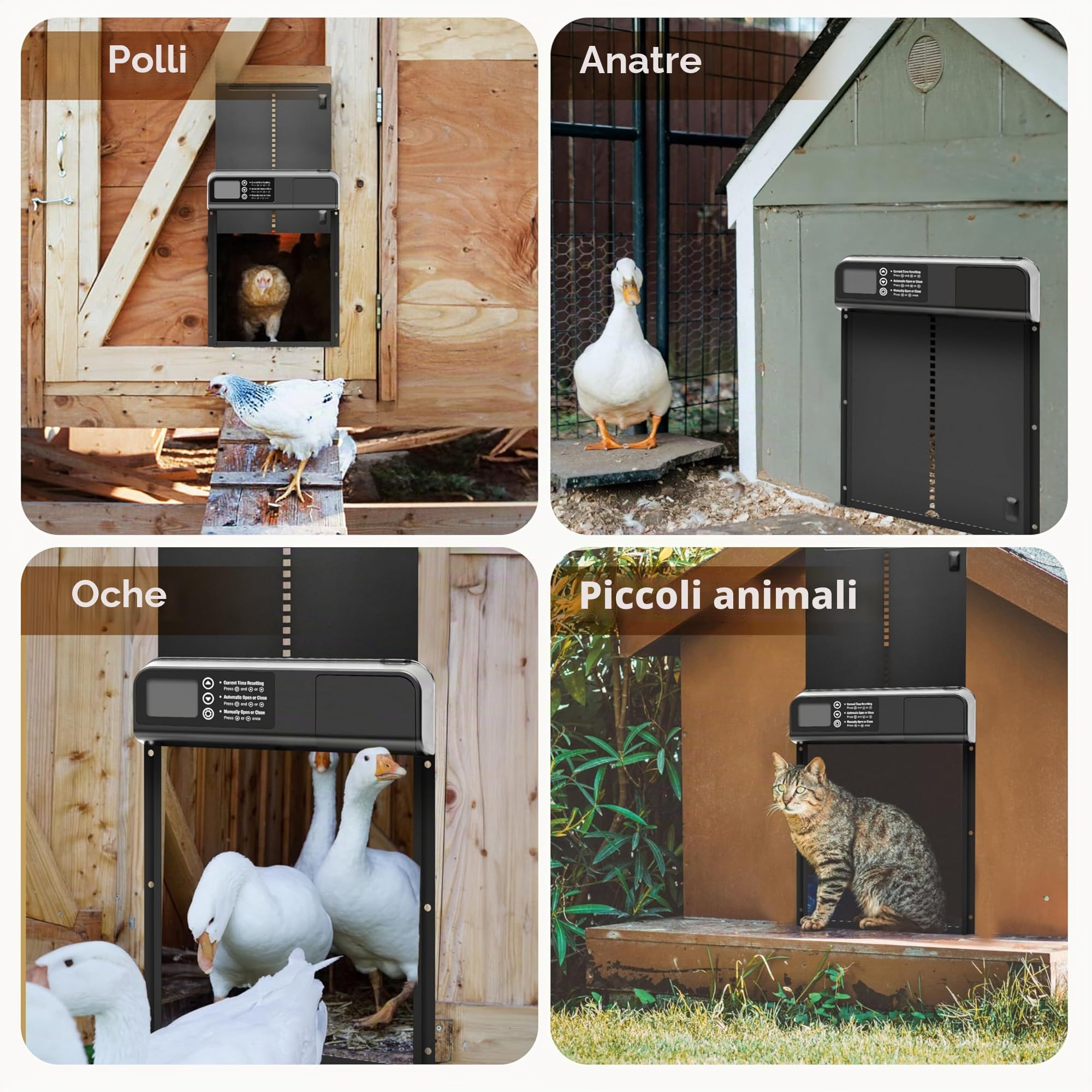 Porta Automatica Pollaio con Modalità Temporale, Pollaio Elettrico con Ampio Display Impermeabile, per una Conservazione Sicura del Pollo, Disponibile Anche per Porte Automatiche di Gattini e Cuccioli