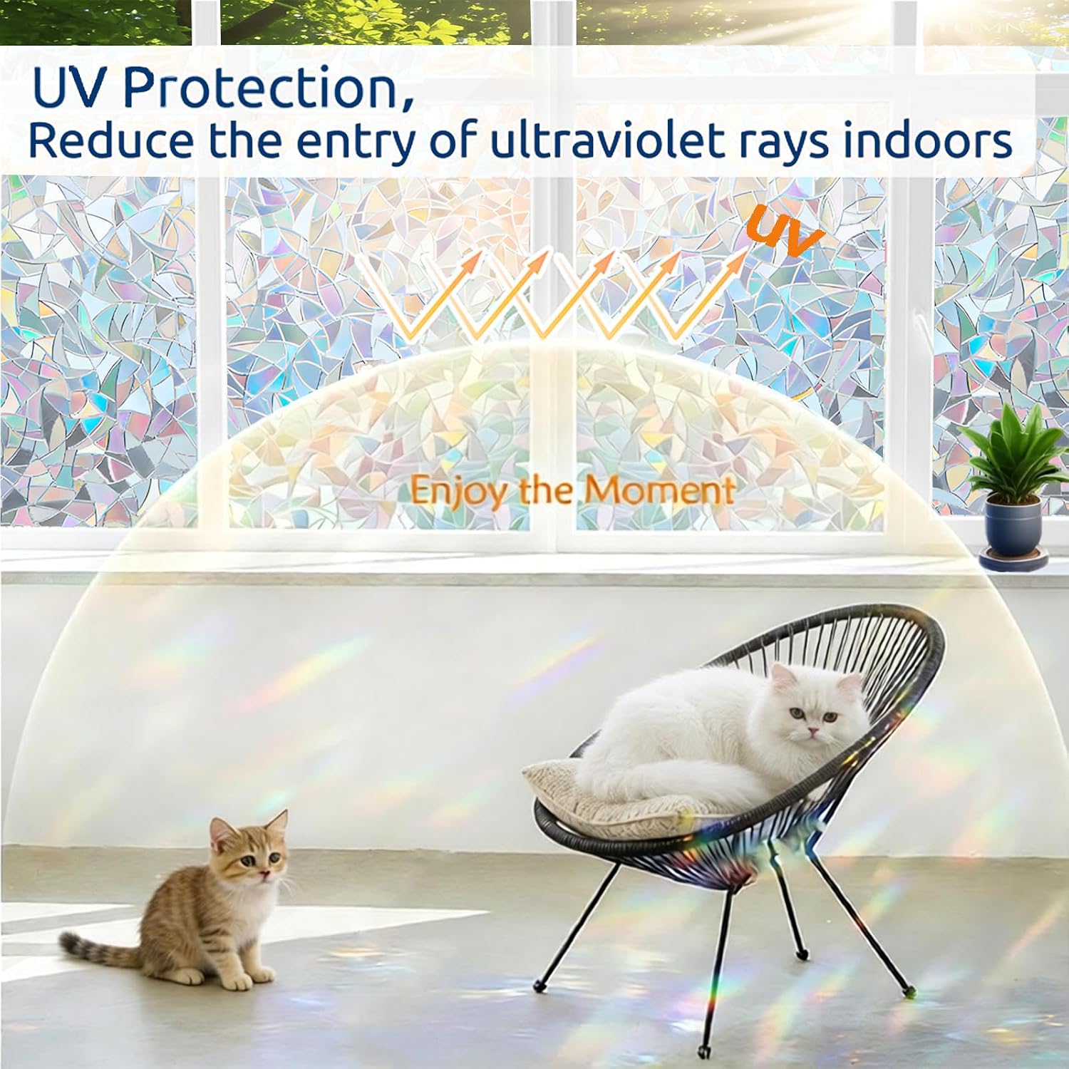 Window Privacy Film Window Coloring Rainbow Film image 4