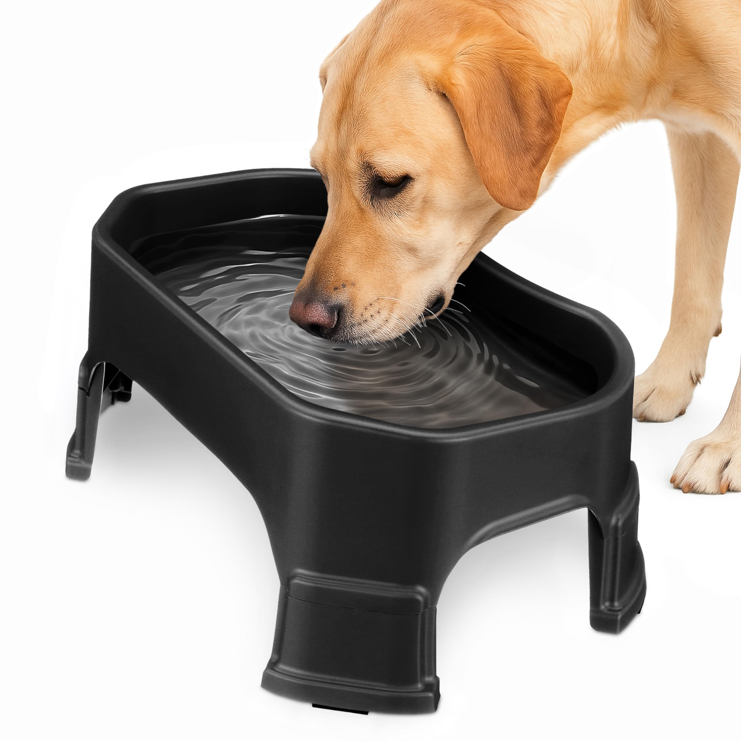 Neater Pet Brands Extra Large Water Bowl for Dogs, Elevated Outdoor Dog Water Bowl (1.25 Gallon XL Capacity), Big Trough Style Food Dish for Indoors
