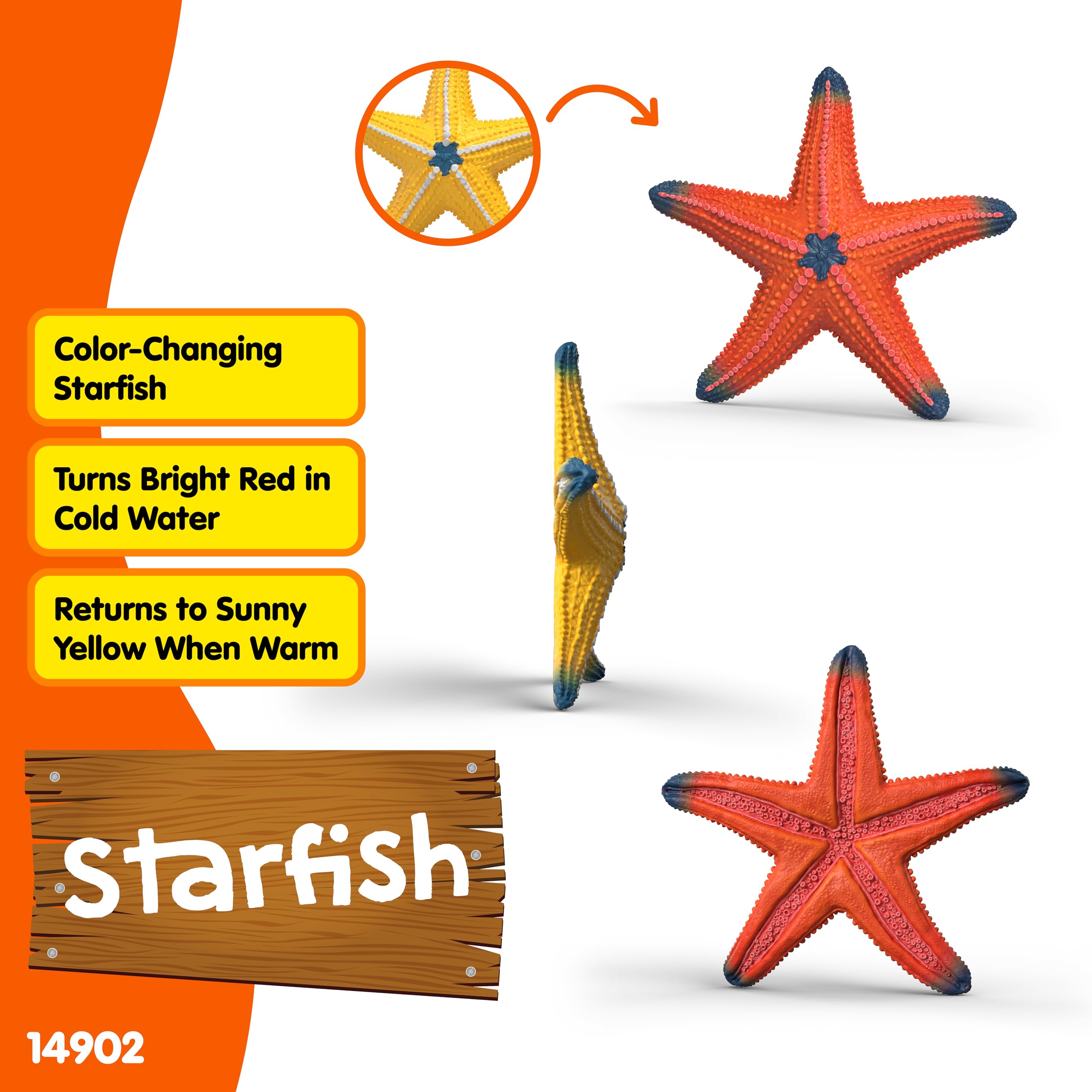 schleich WILD LIFE | Seestern mit Farbwechsel 14902 | detaillierte Tierfigur & Sammelfigur | Zoo Spielzeug | Geschenk für Jungen & Mädchen | Deko für Geburtstag | Spielfigur ab 3 Jahren | 7 x 7 x 2 cm - 4