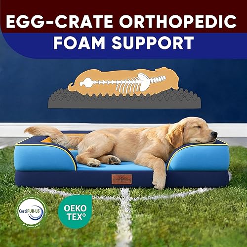 Miniatura 281 de Comfort Expression - Cama ortopédica para perros extragrandes, 53 x 42 pulgadas, cama impermeable y de apoyo de espuma con cojines removibles, con