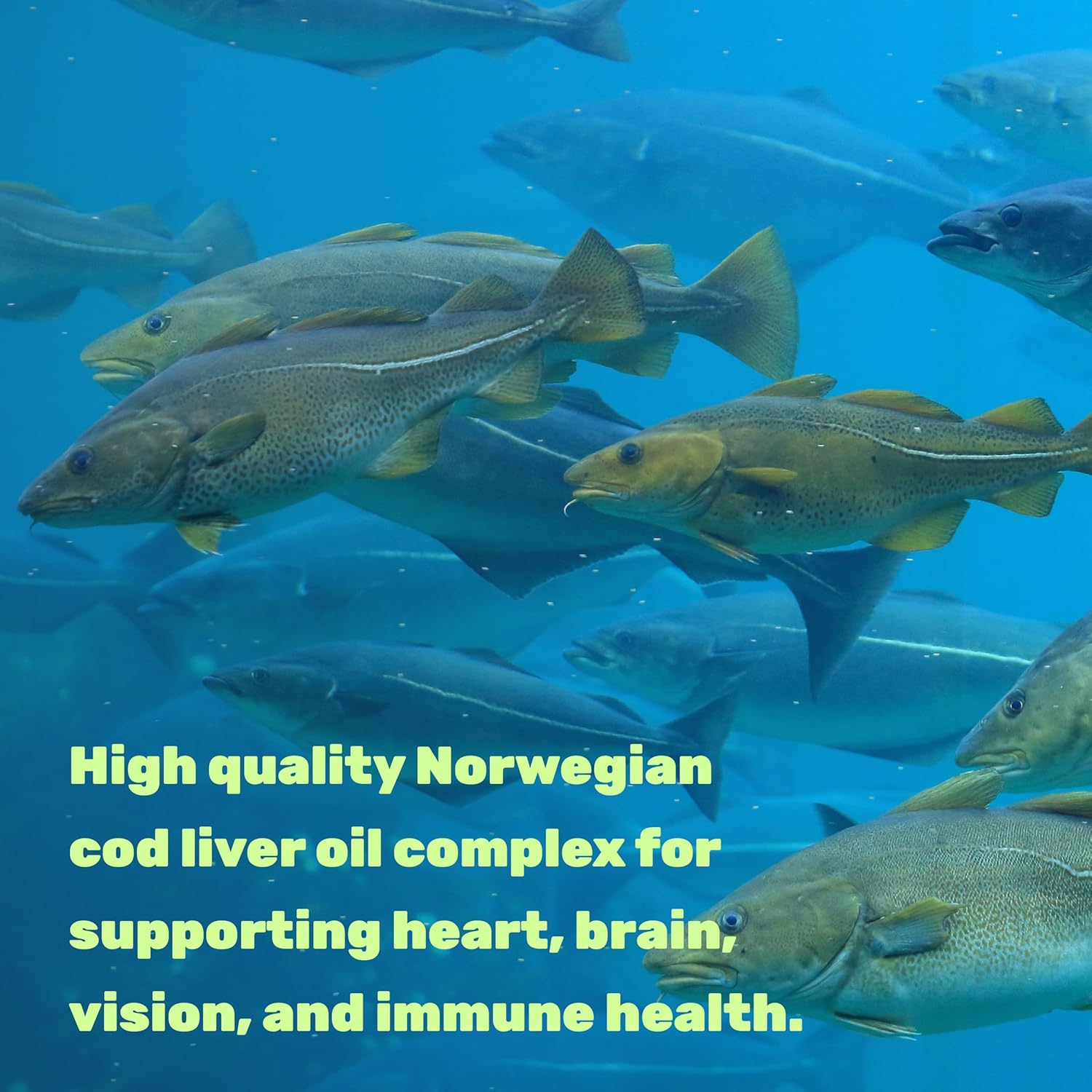 Wild Caught Cod Liver Oil 2,000mg Per Serving, 240 Softgels – Extra Strength EPA DHA Omega 3 with Vitamin D & A – Burpless, Lemon Flavored – Vision, Heart, Brain, & Immune Support - Image 4