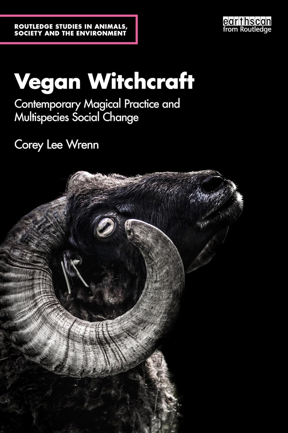 Vegan Witchcraft: Contemporary Magical Practice and Multispecies Social Change. (Routledge Studies in Animals, Society and the Environment)      1st Edition, Kindle Edition