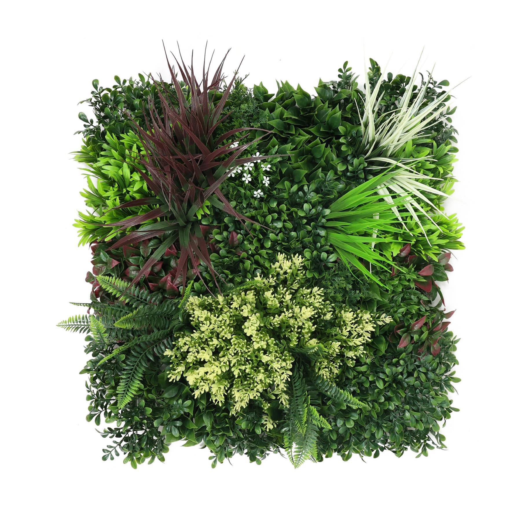 True Products Premium Artificial Green Plant Living Wall Panel 50Cm X 50CmCarnival B from B&Q