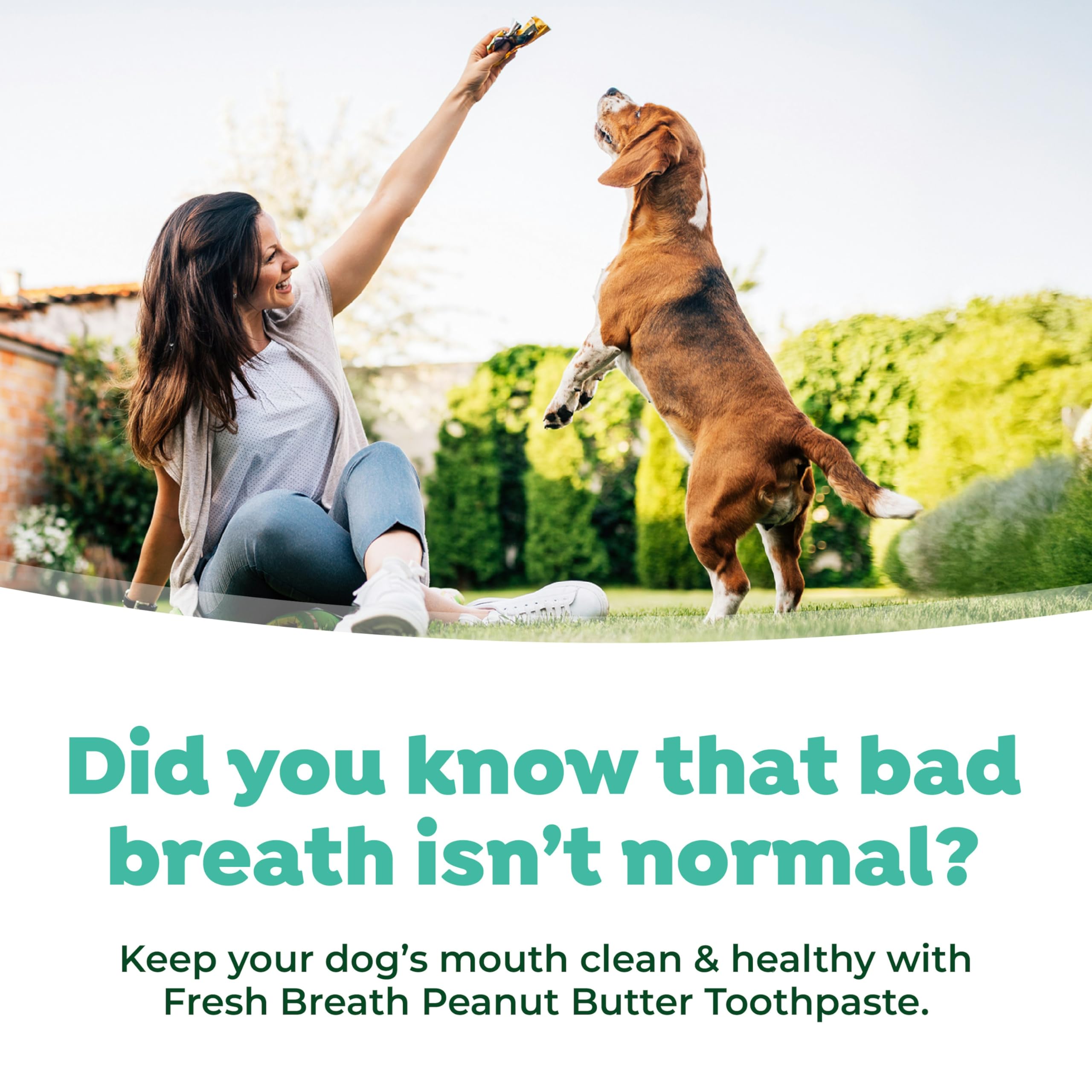 TropiClean Fresh Breath - Kong Dental Ball for Medium Dogs - Dog Teeth Cleaning Kit - Removes Plaque - Peanut Butter & Honey Dog Toothpaste, 1oz - image 6