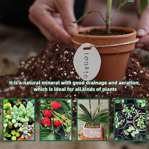 Miniatura 4 de Perlita de 3 cuartos para suelo vegetal enmienda para tierra de macetas, mejora el drenaje y la aireación del suelo, mejor para el crecimiento de