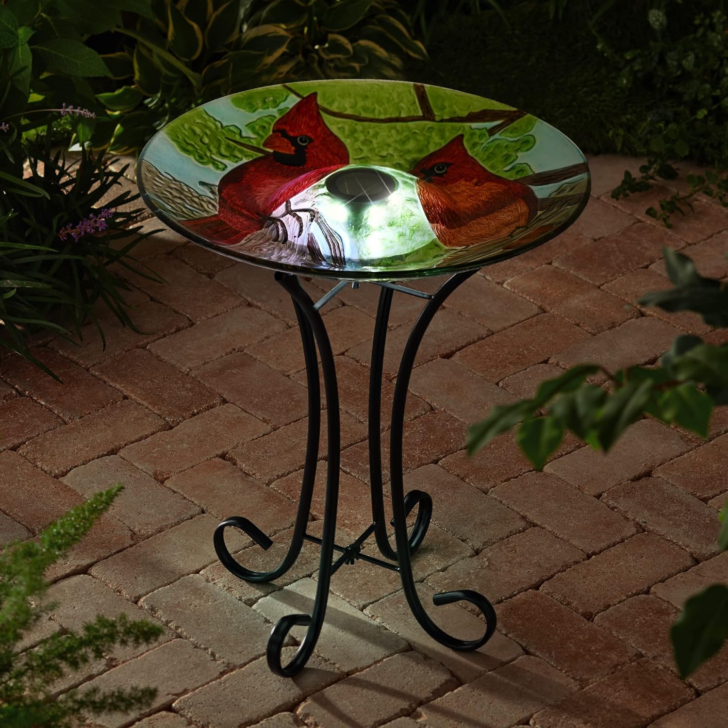 Hi Line Gift Ltd. Solar LED Floral Glass Bird Bath with Stand - Cardinal,Multi-Color,78415-I