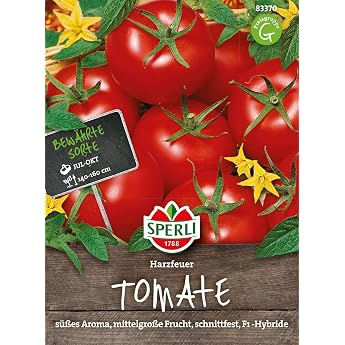 83370 Sperli Premium Tomato Seeds Resin Fire Sweet Aromatic Resin Fire Tomato Seeds Tomato Seeds Tomato Seeds Old Varieties Outdoor Tomato Seeds Resistant Outdoor Tomato Seeds
