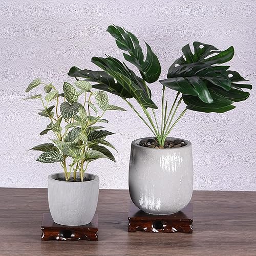 Miniatura 6 de PATIKIL Soporte de exhibición de madera, 6.5 x 6.5 pulgadas, jarrón cuadrado para tetera, base de bonsái, soporte de madera para decoración del