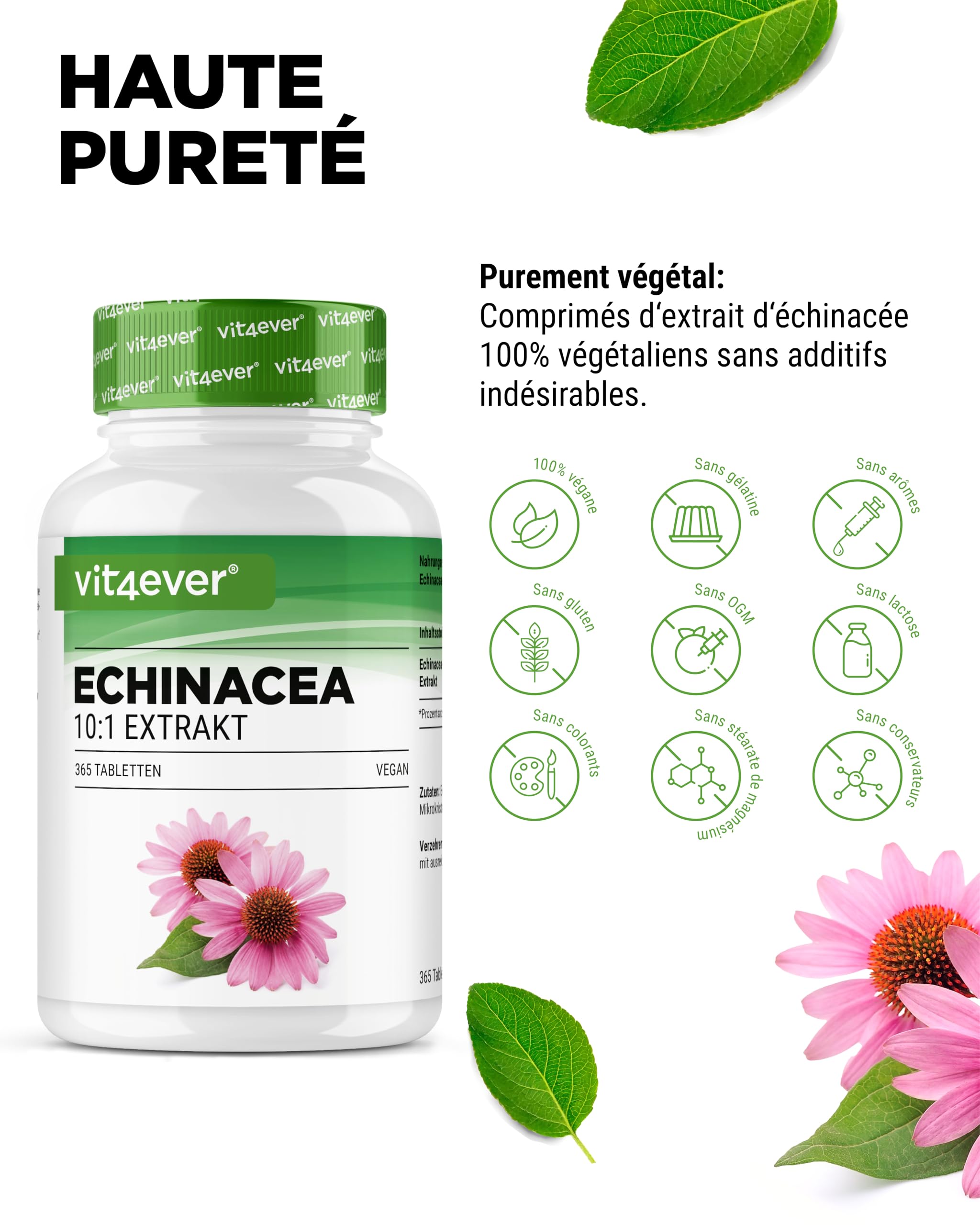 Échinacée 500 mg - 365 comprimés végétaliens - Extrait naturel d'échinacée 10:1 - Hautement dosé - Sans additifs indésirables - Végétalien